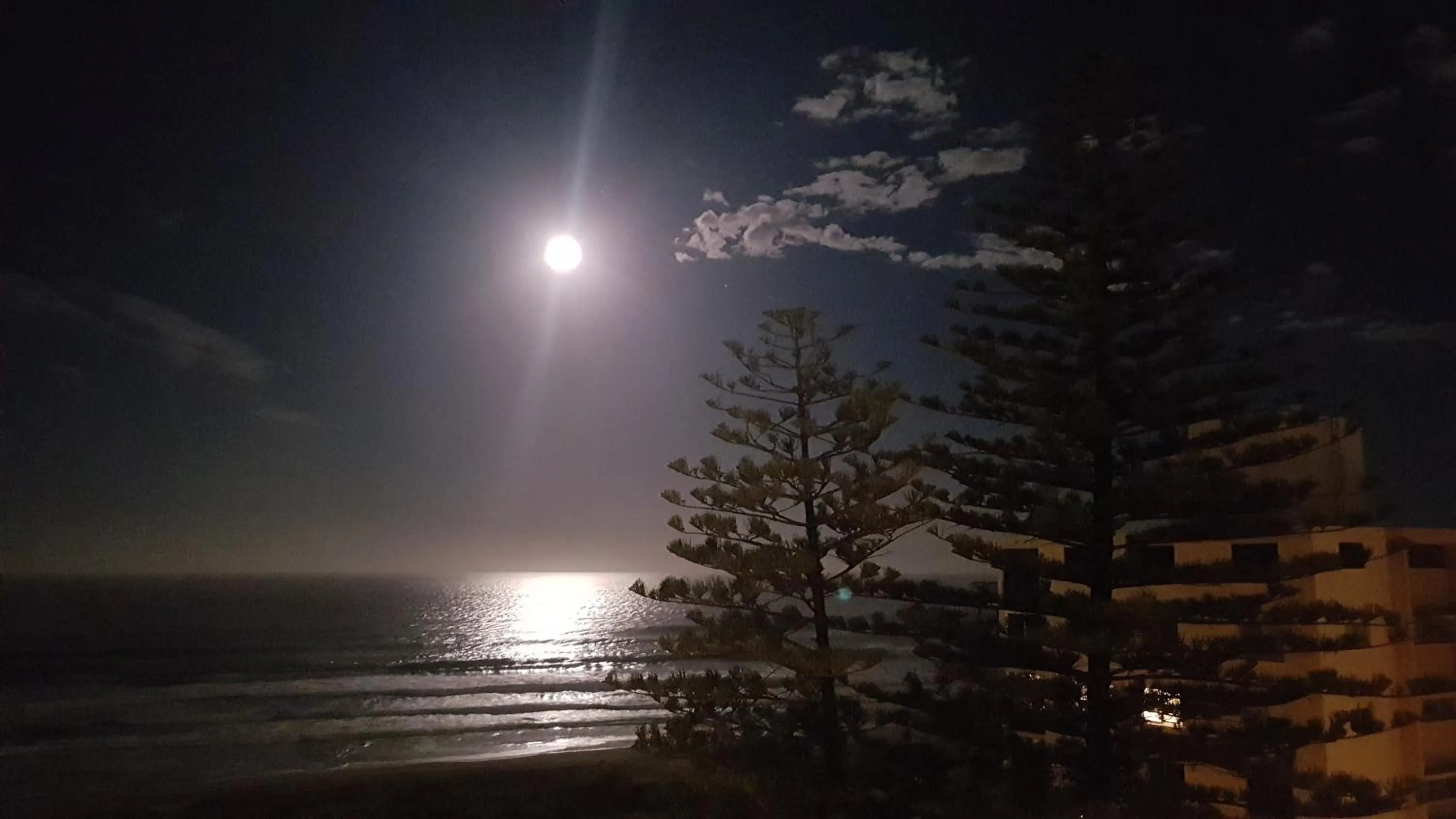 Sea view in Surfers Chalet