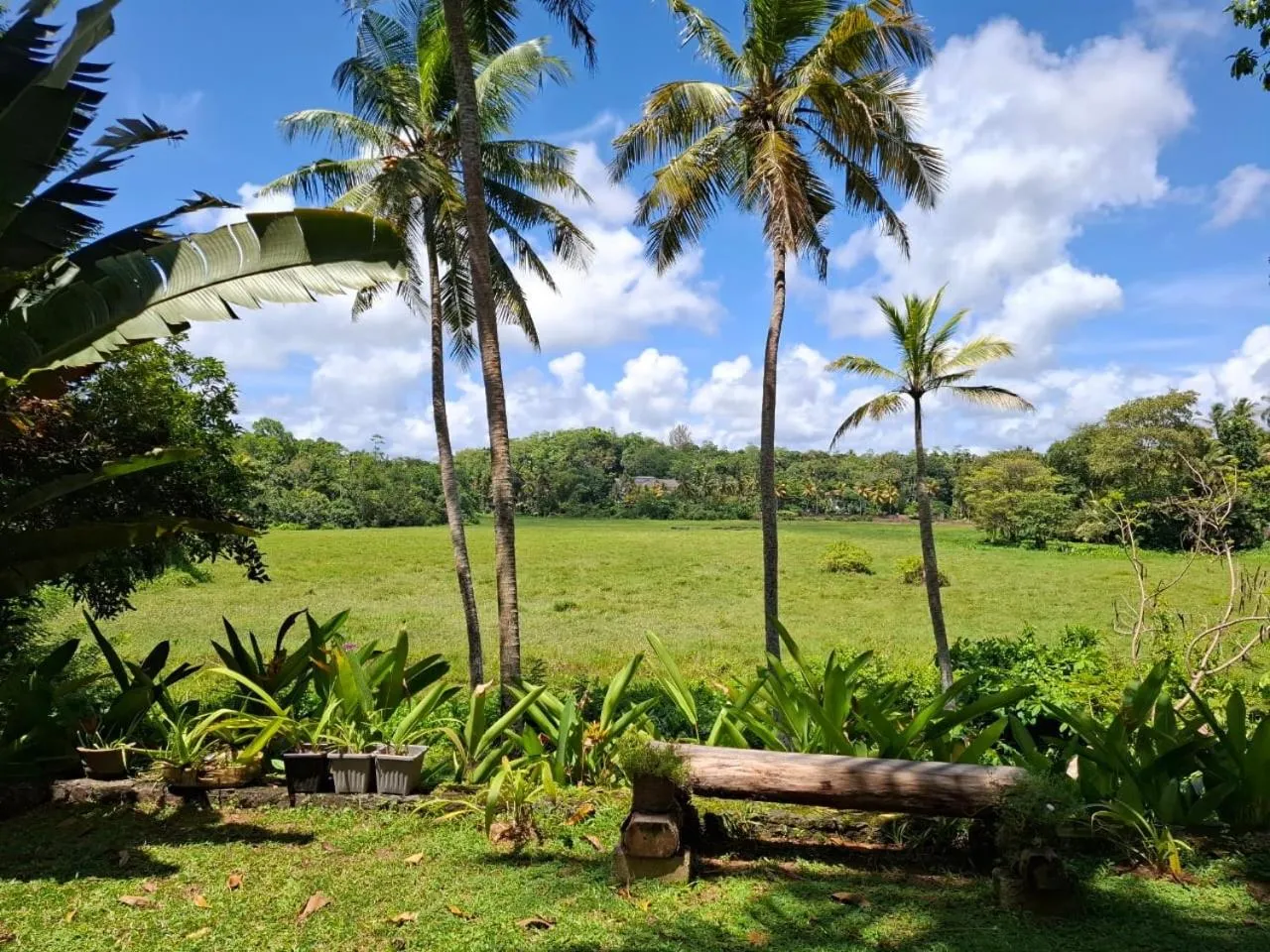 Stone Well Garden Villa