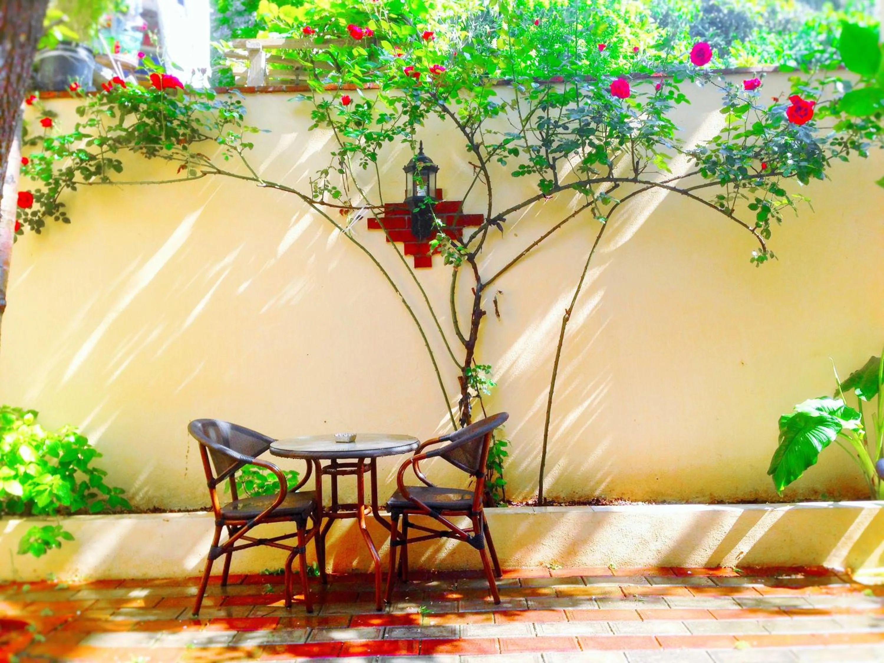 Garden in Ottoman's Pearl Hotel