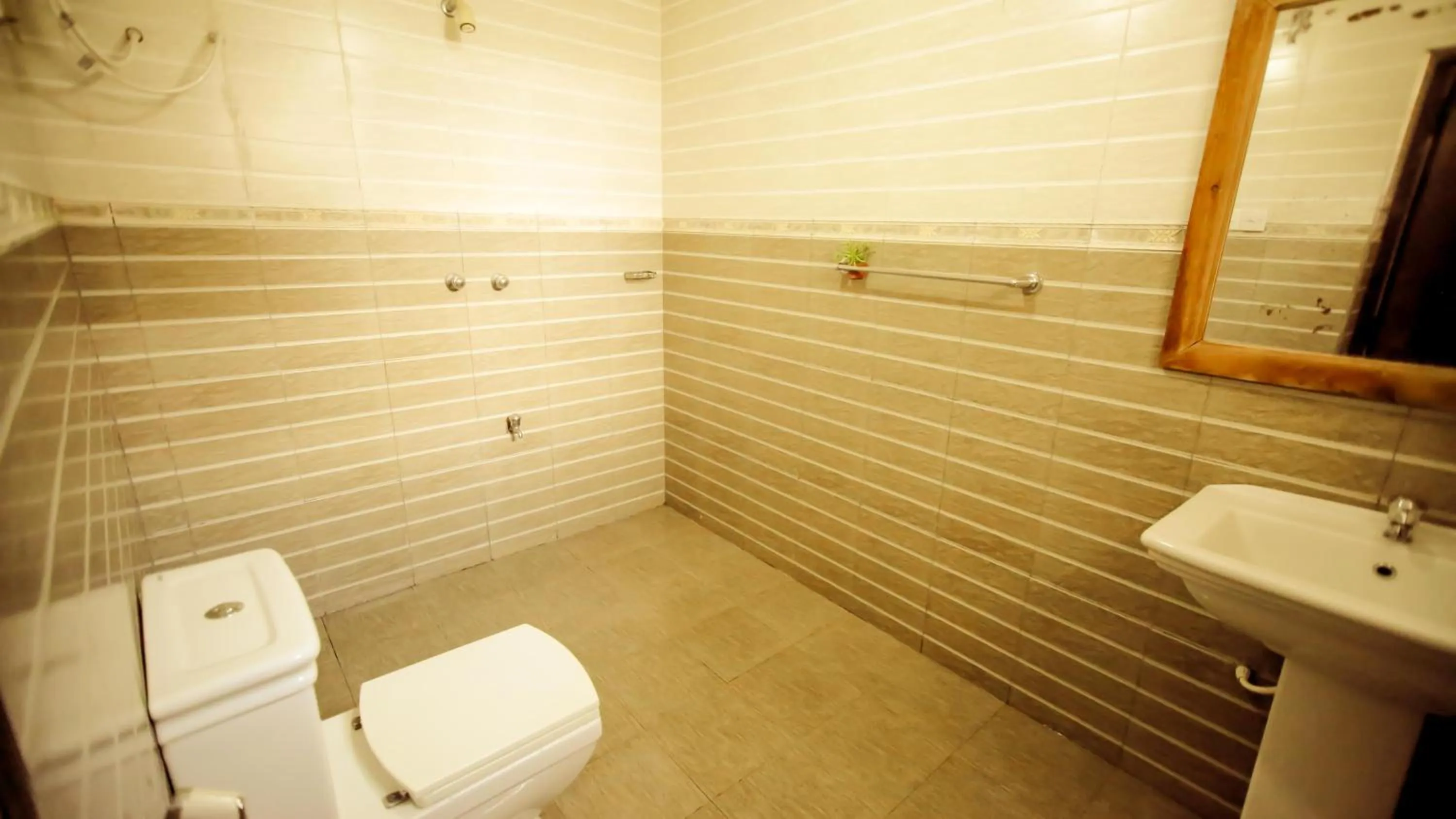 The Frangipani motel