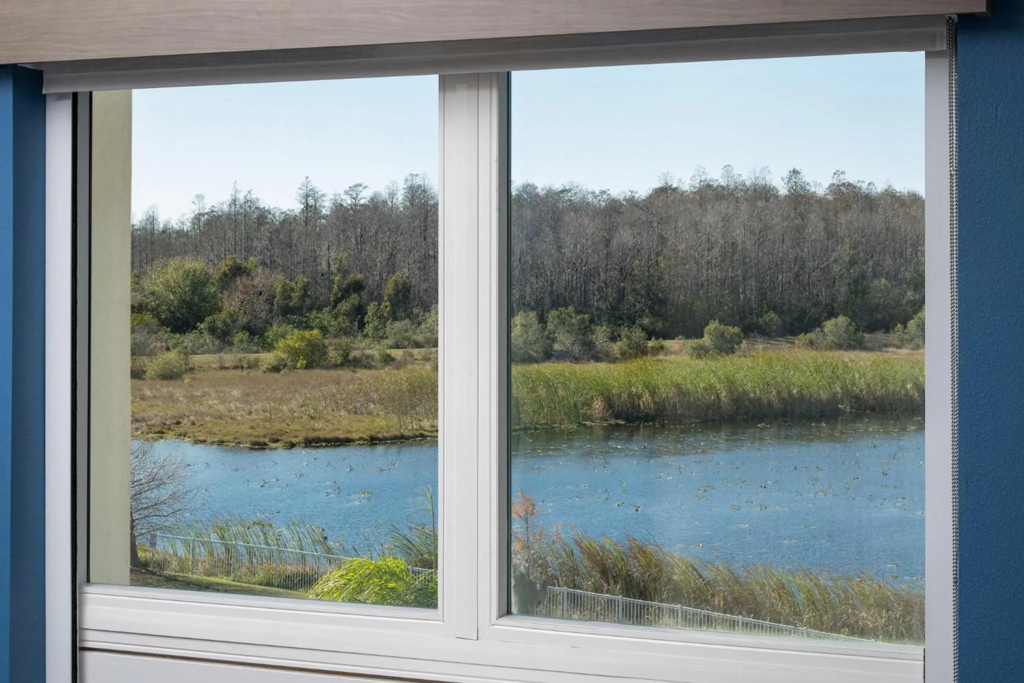 Photo of the whole room in Holiday Inn Express & Suites Trinity by IHG