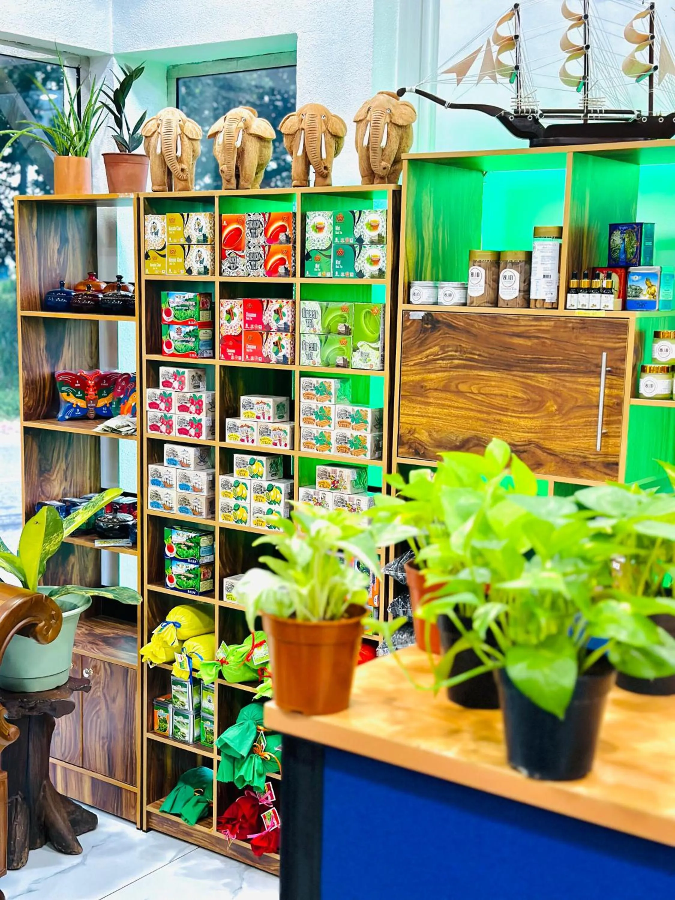 Otha Shy Airport Transit Hotel