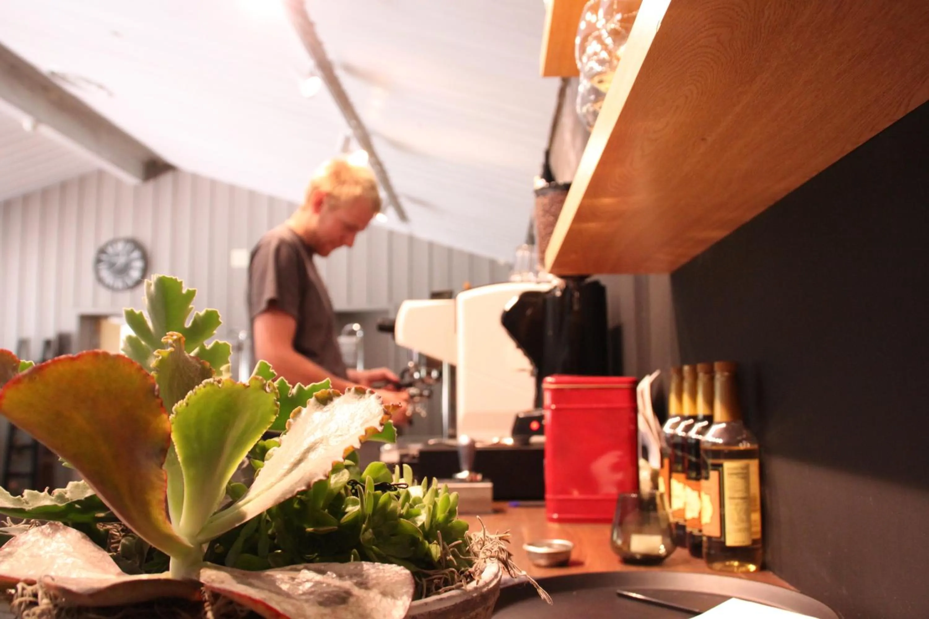 Alcoholic drinks in Haukeli Hotel