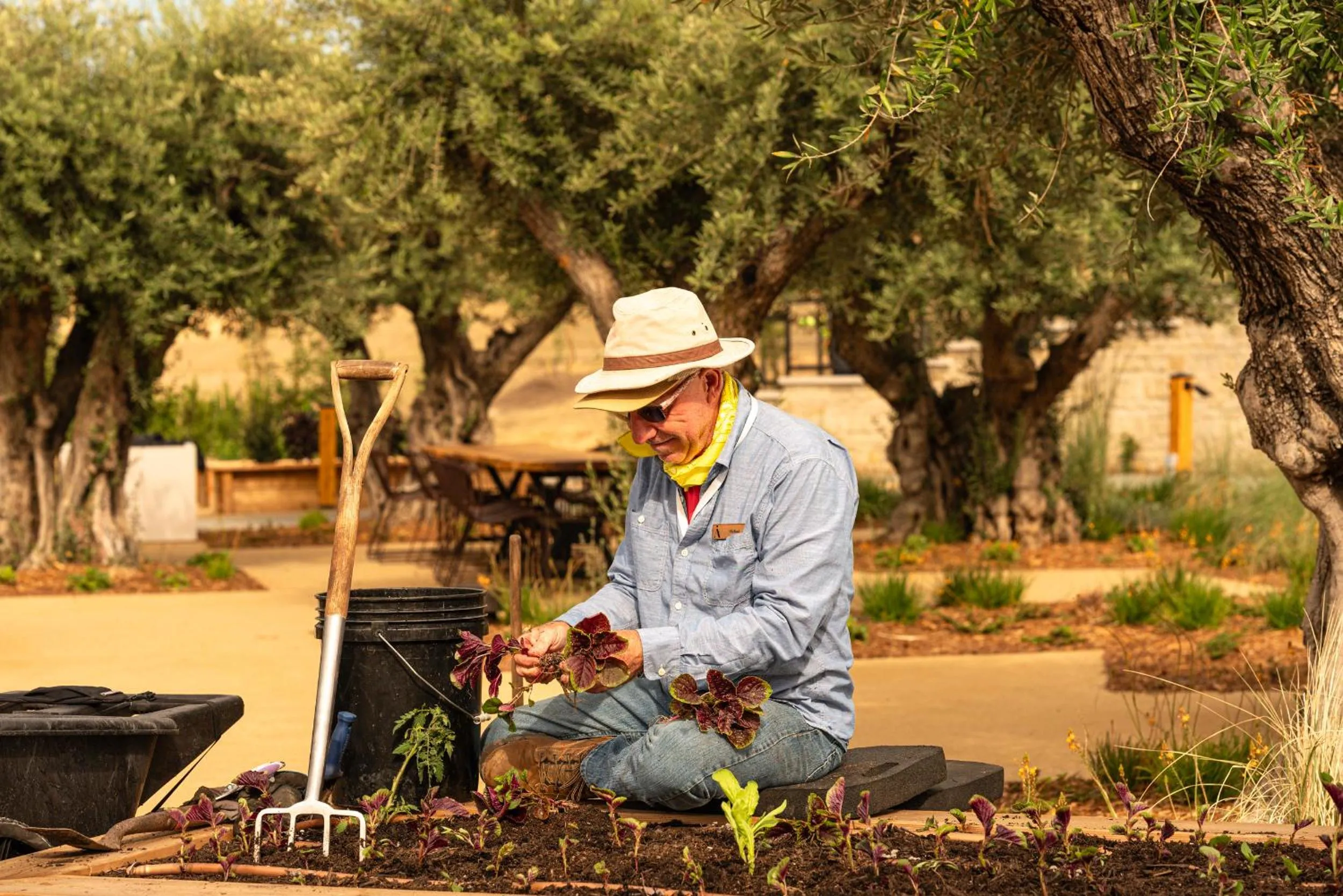 Garden in Appellation Healdsburg