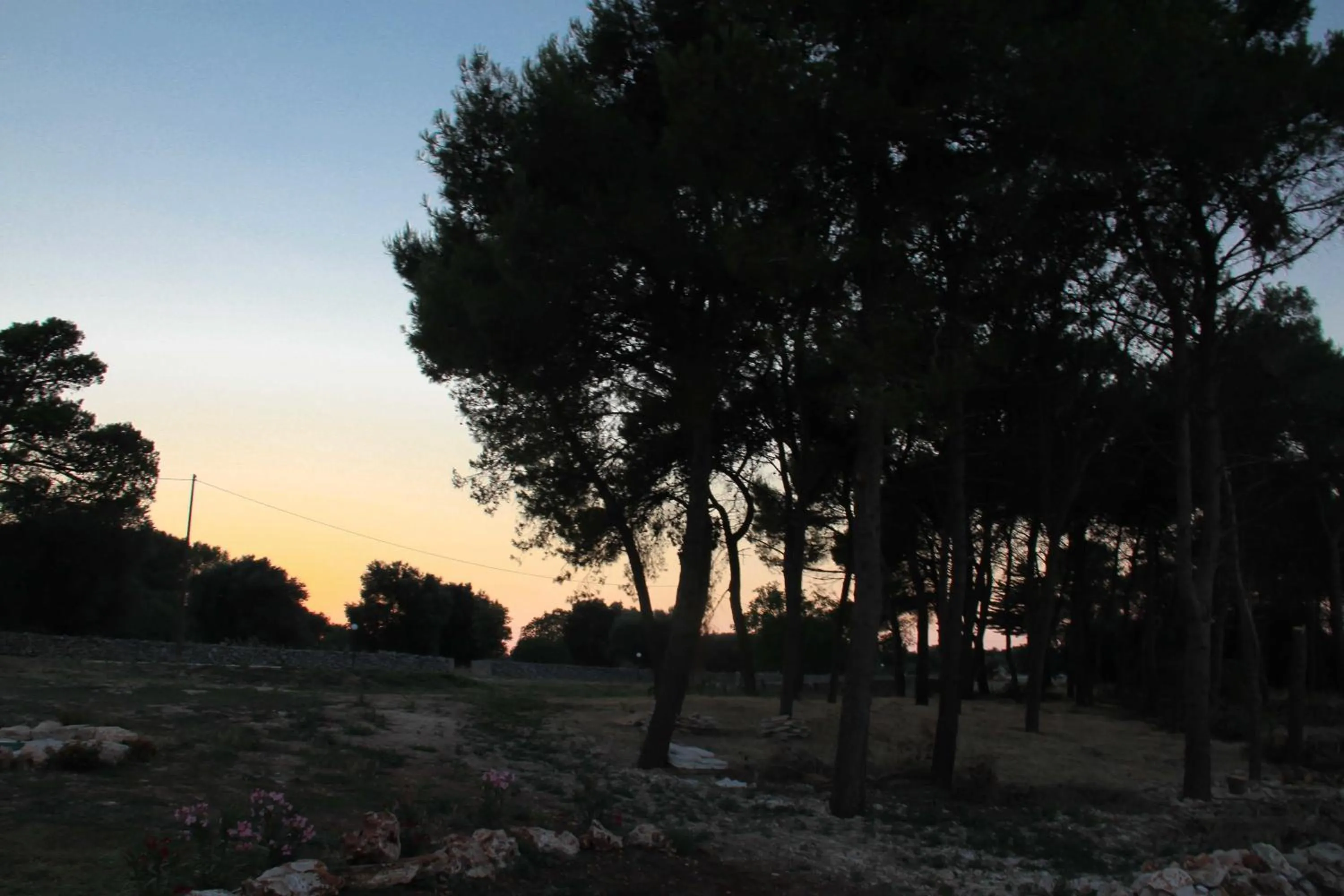 Garden in B&B Masseria Nuove Caselle