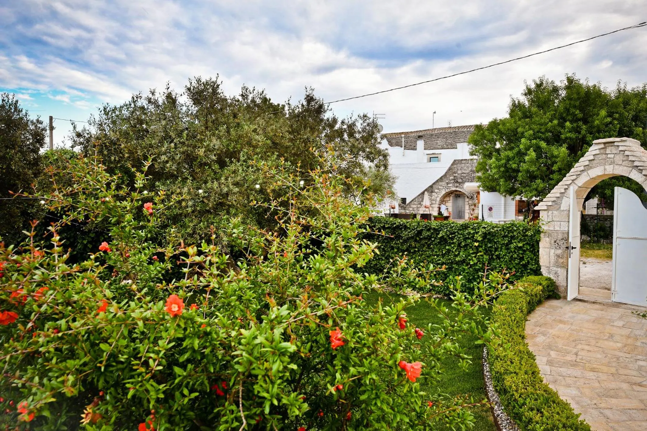 Garden in B&B Masseria Nuove Caselle