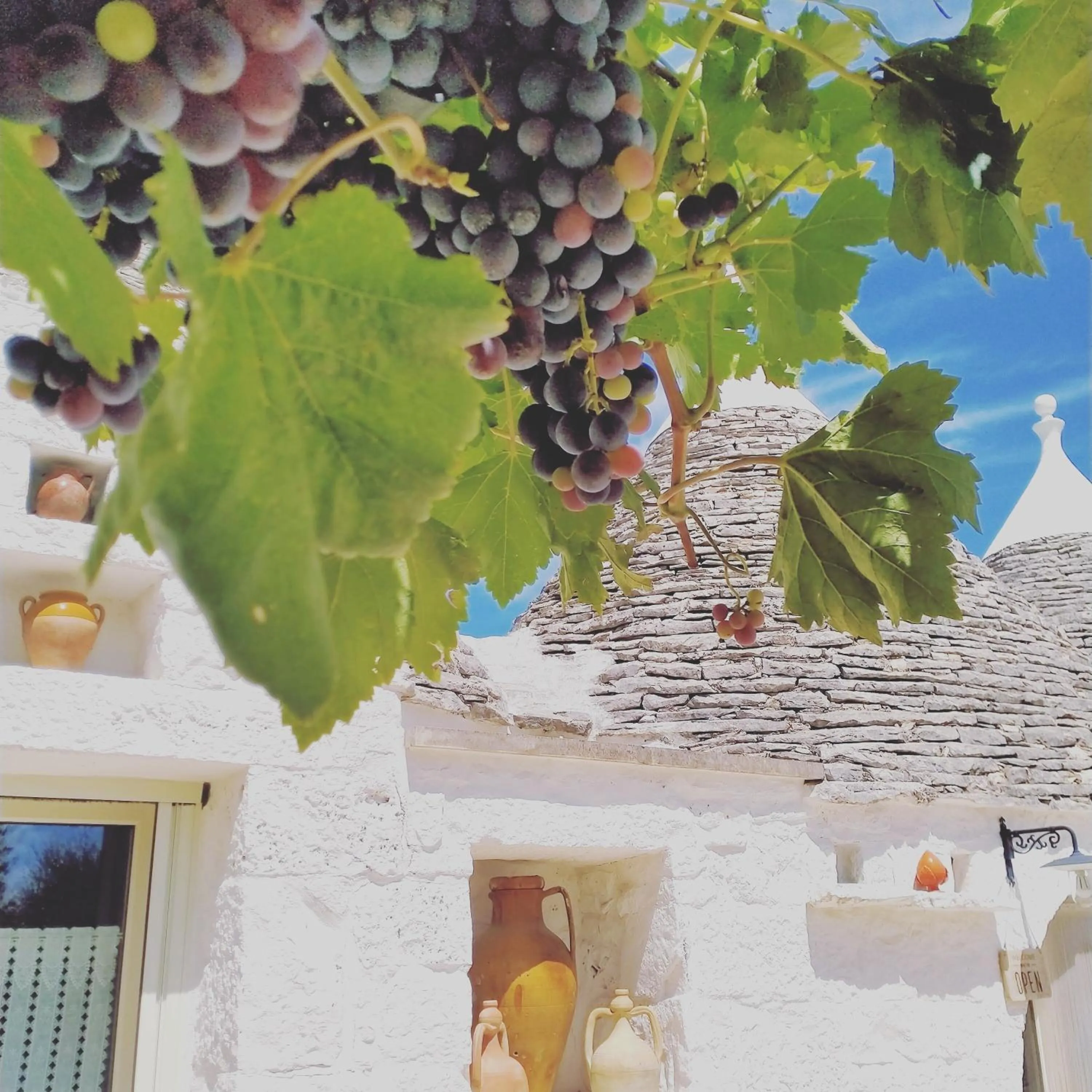 Property building in B&B Masseria Nuove Caselle