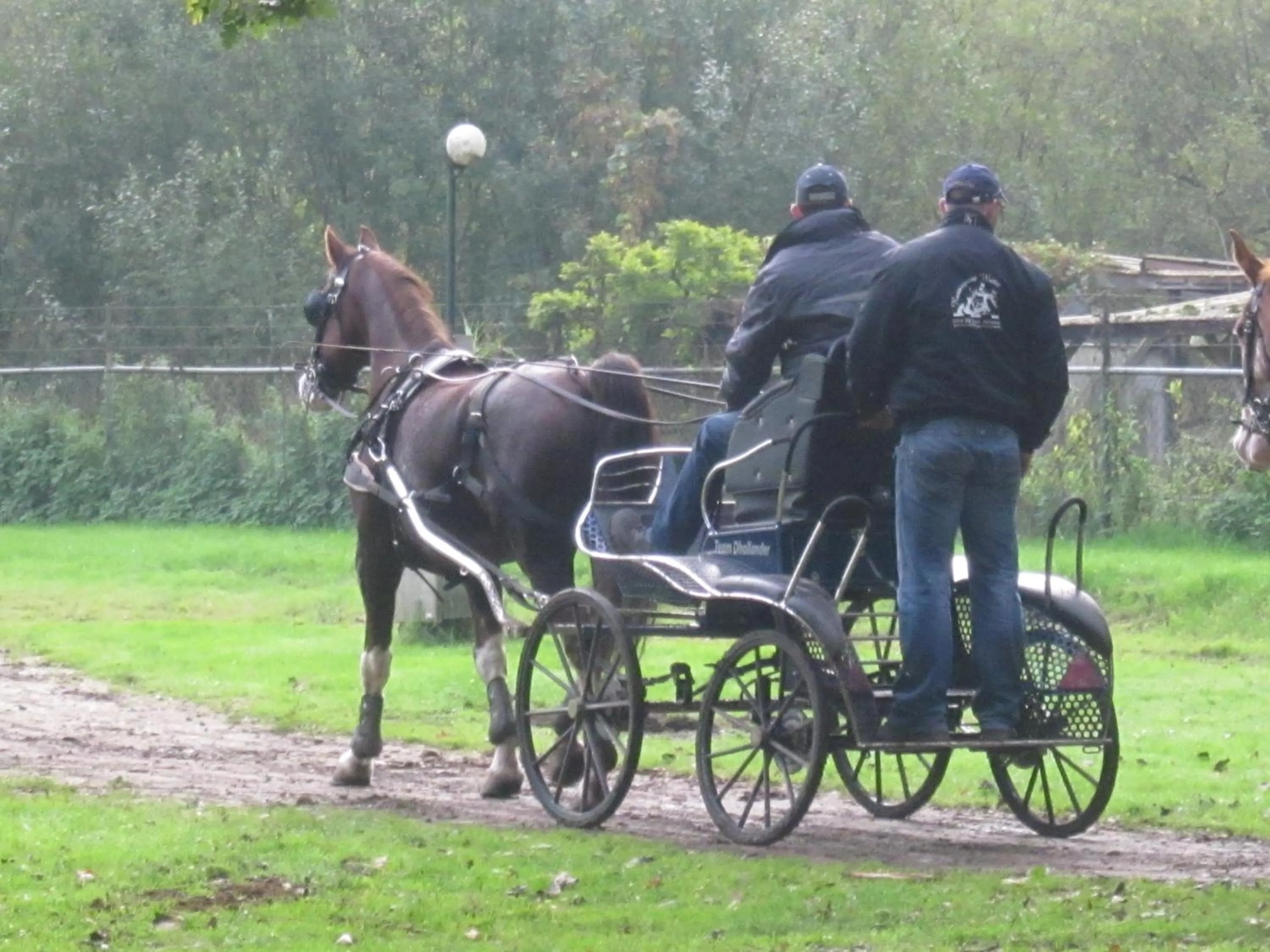 Horse-riding in Hotel De Watermolen