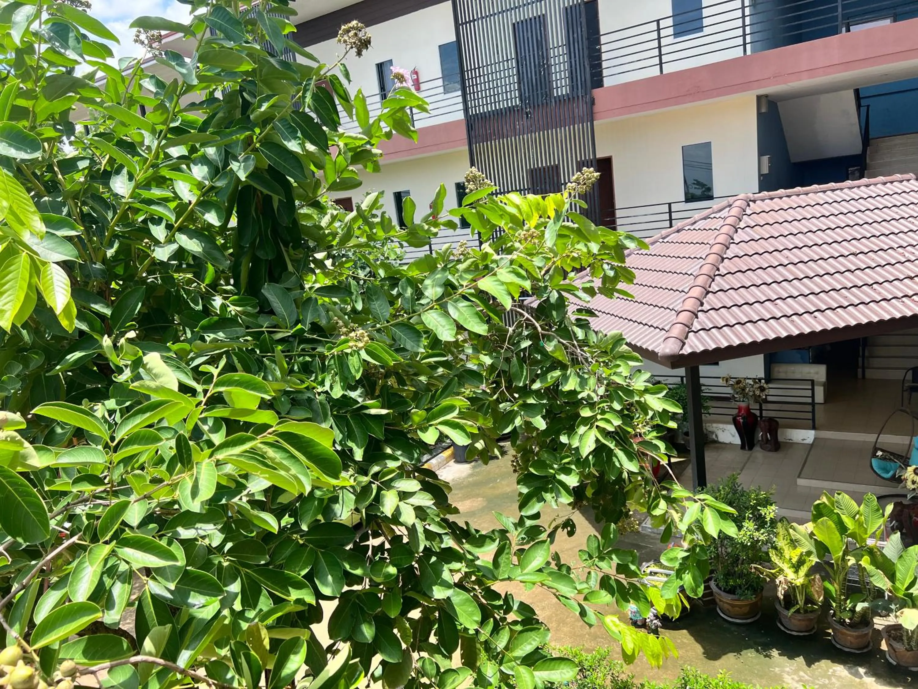 Property building in Rungreang Hotel