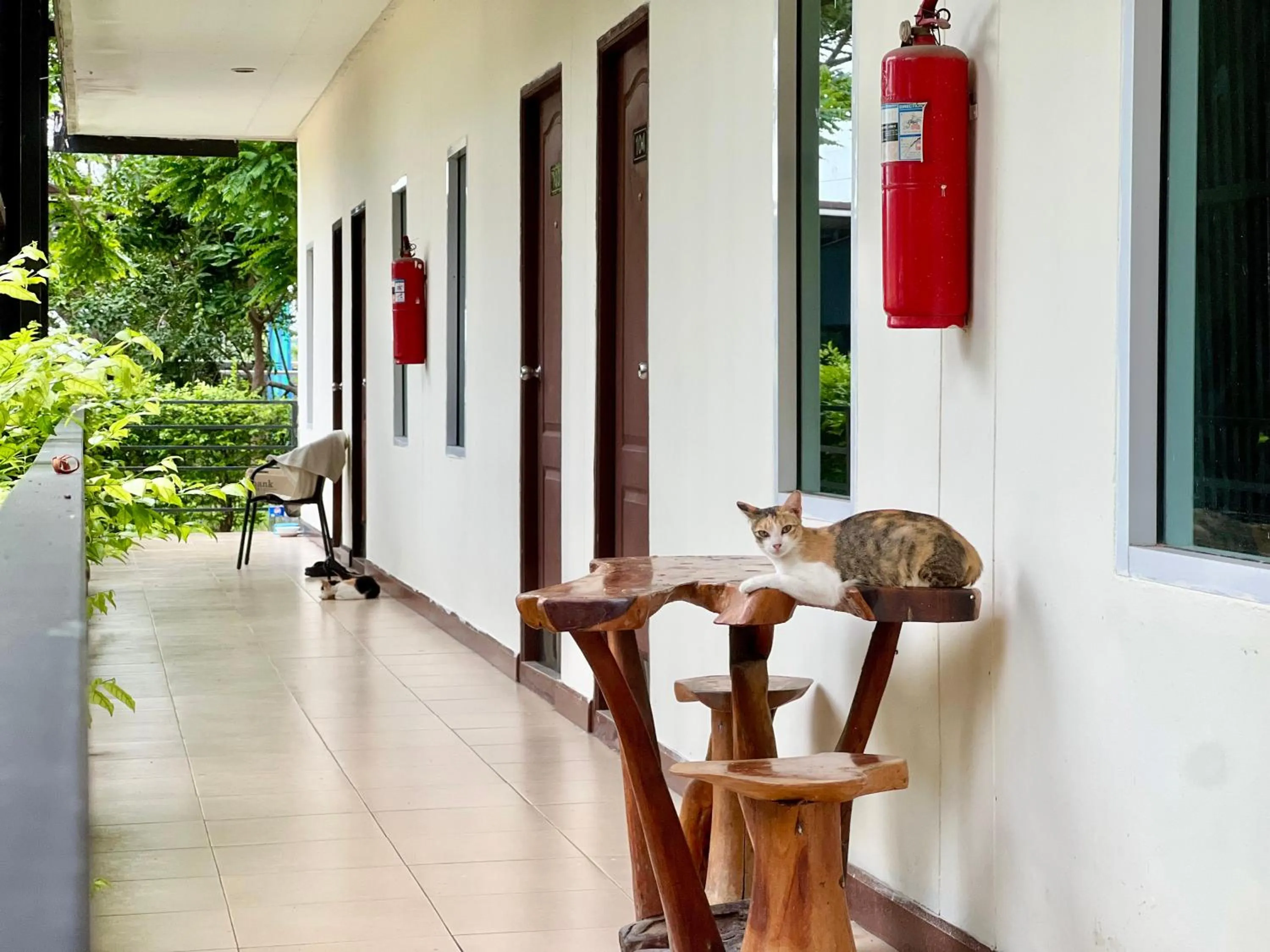 Area and facilities in Rungreang Hotel