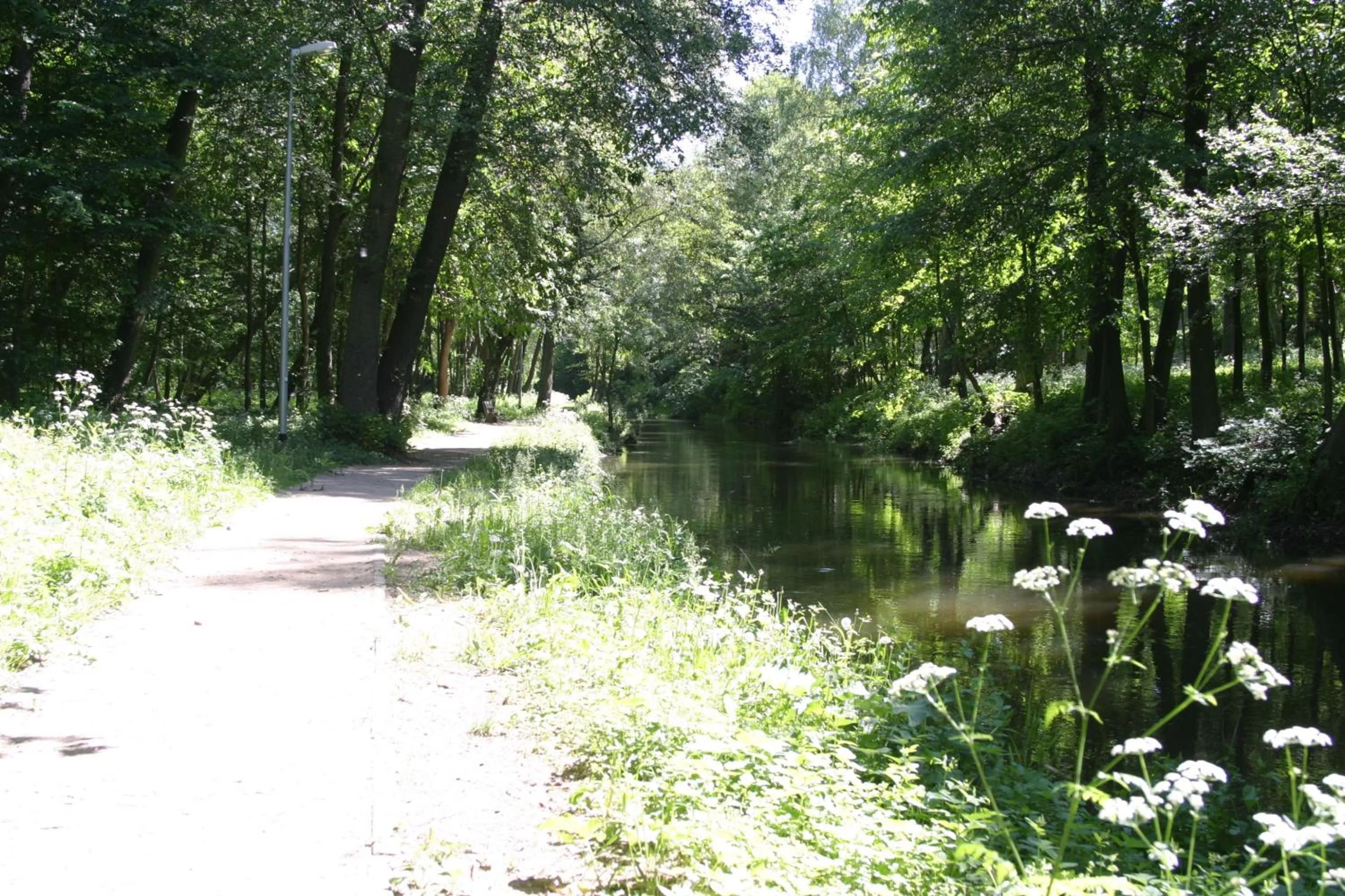 Natural landscape in Hotel Abrava