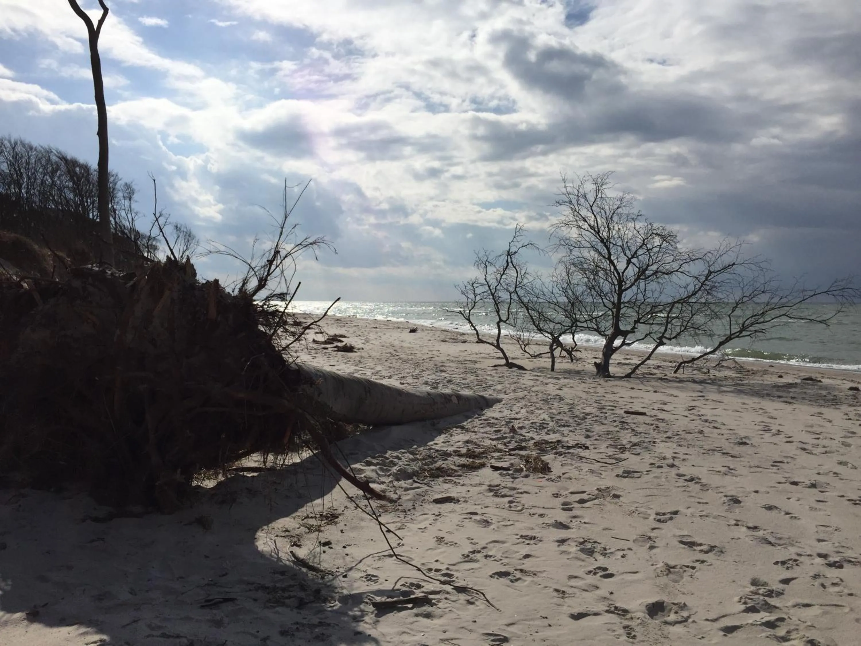 Beach in Ferienwohnung Strandgut