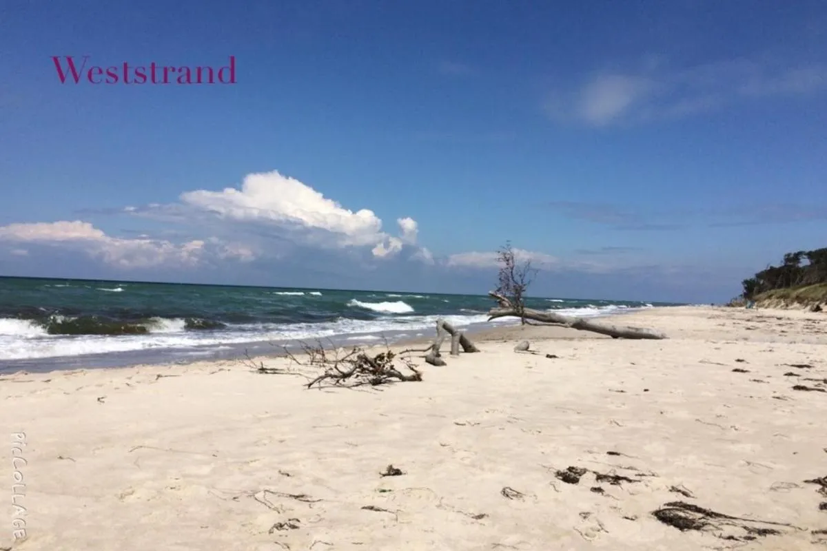 Beach in Ferienwohnung Strandgut