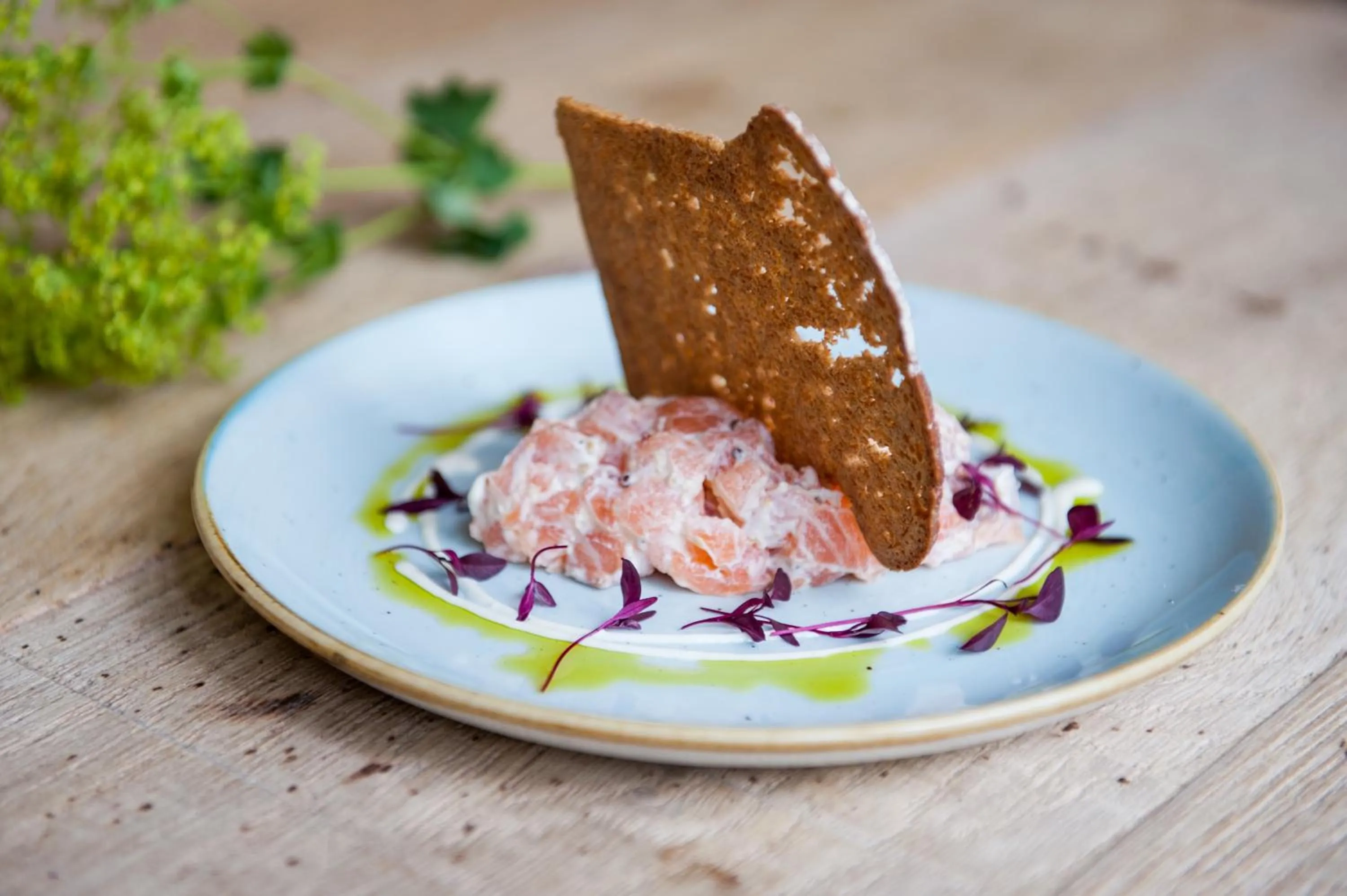 Food close-up in The White Hart, Overton