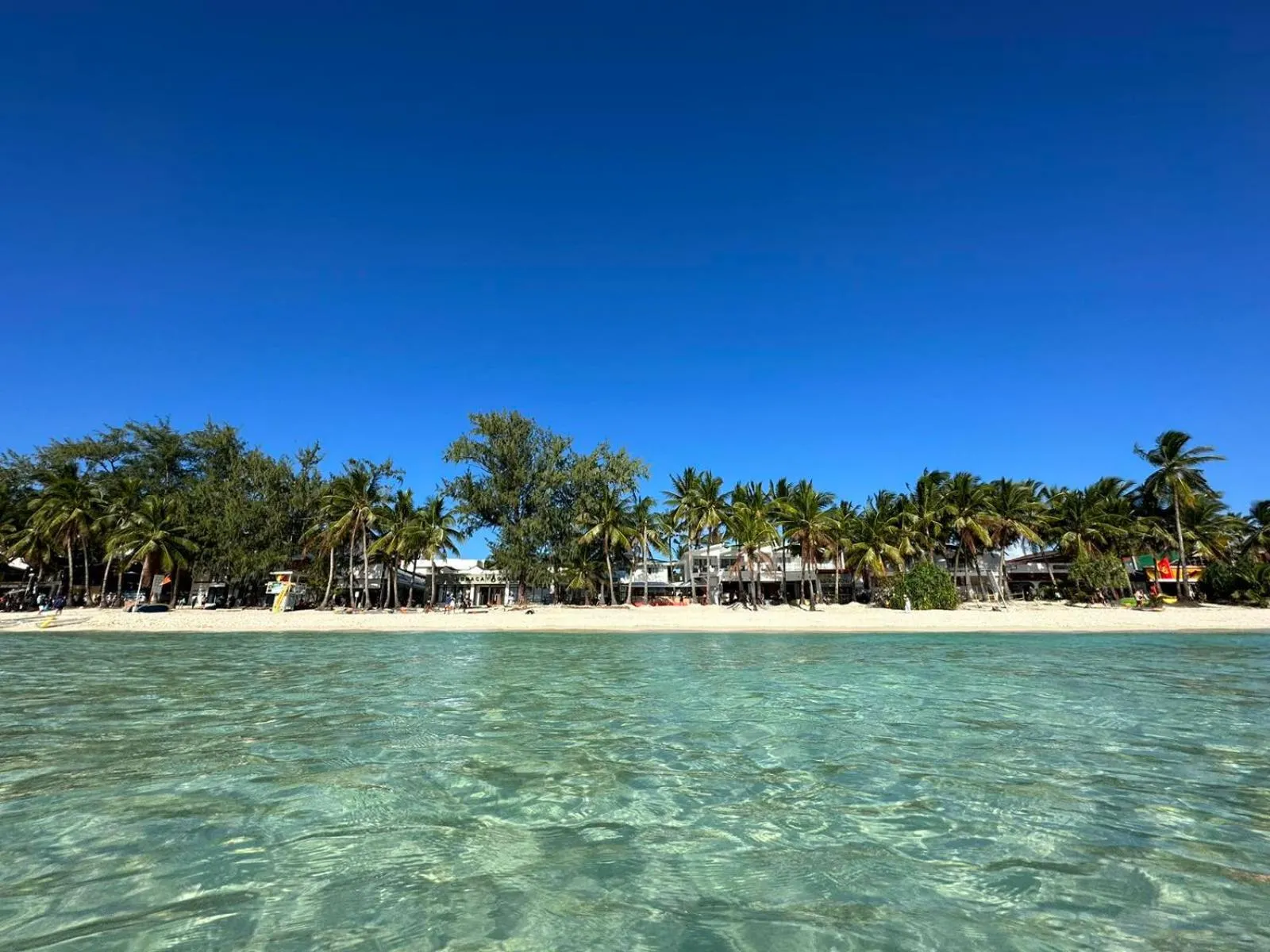 Beach in Calypso Beach and Dive Resort