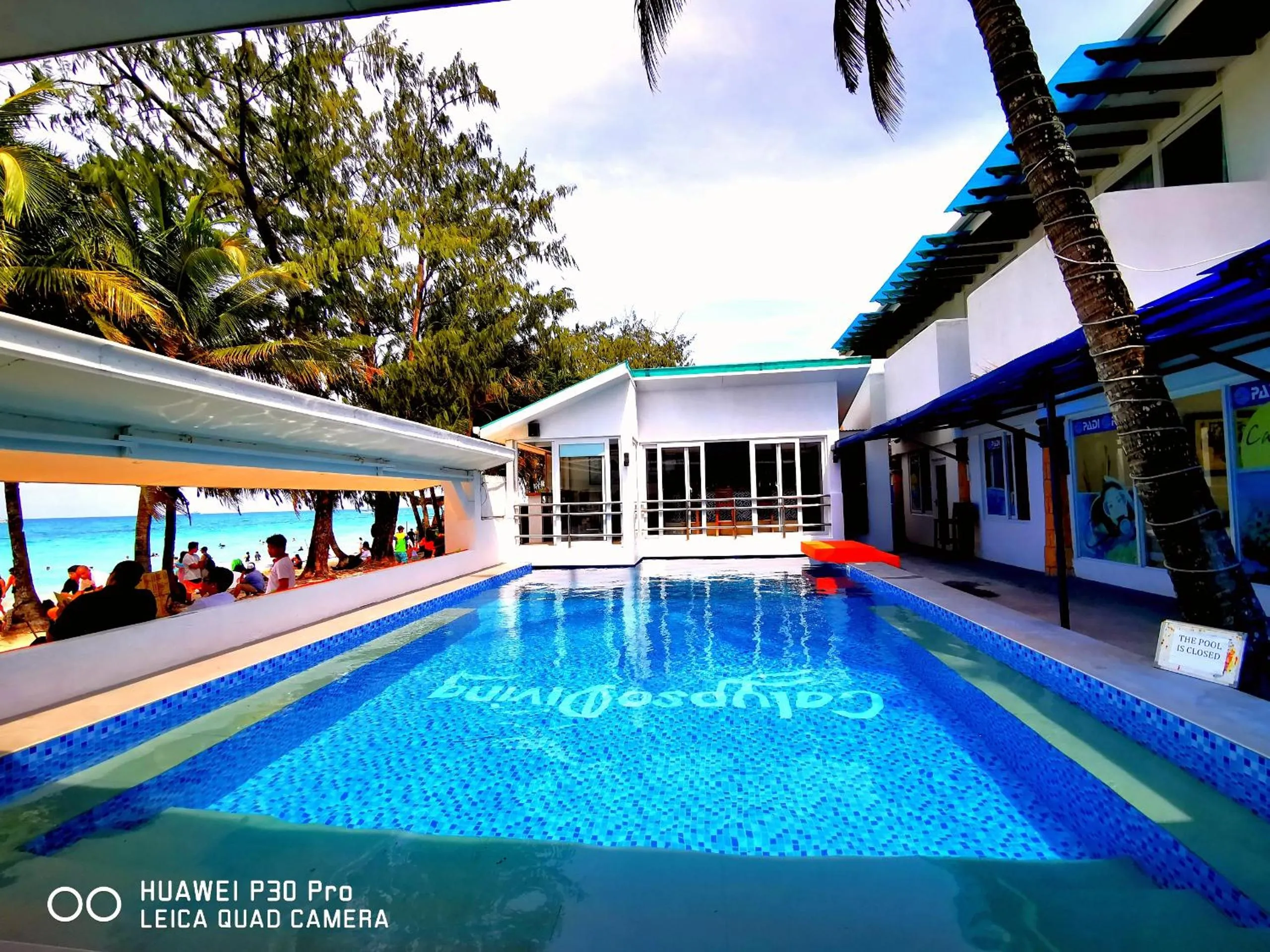Pool view in Calypso Beach and Dive Resort