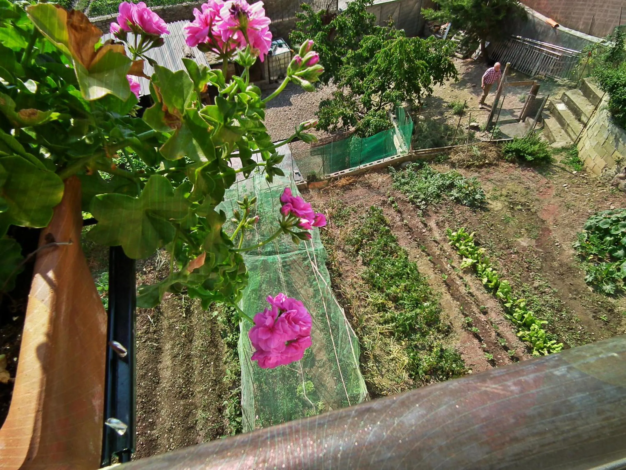 Day in Casa Catharina