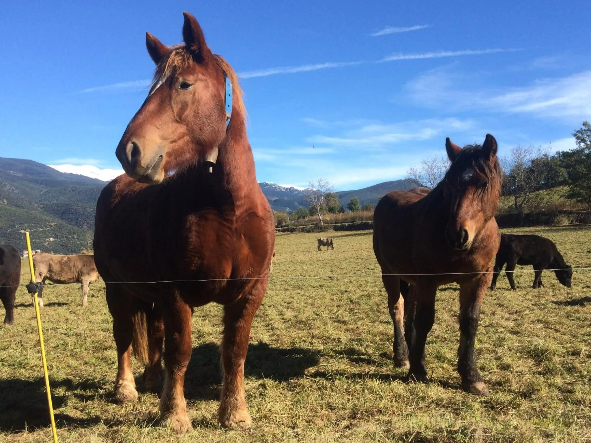 Off site in Casa Catharina