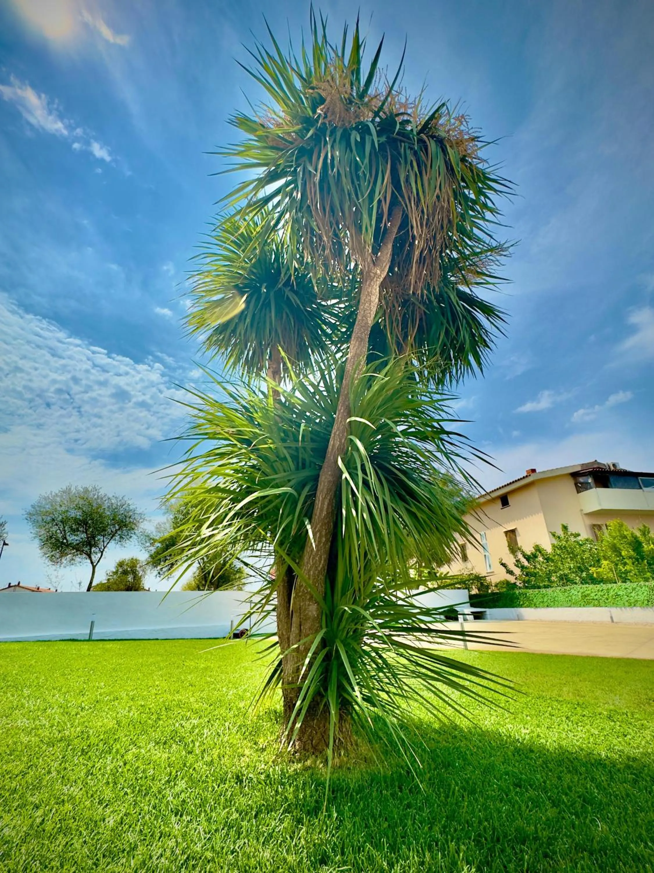 Garden in bbolbia - bed and breakfast