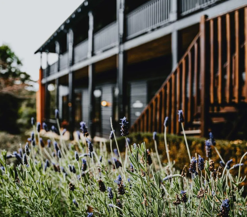 Garden in Hotel Bellinzona Daylesford