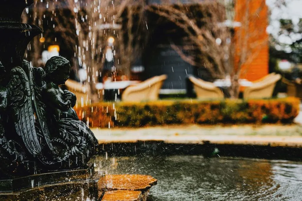 Garden in Hotel Bellinzona Daylesford