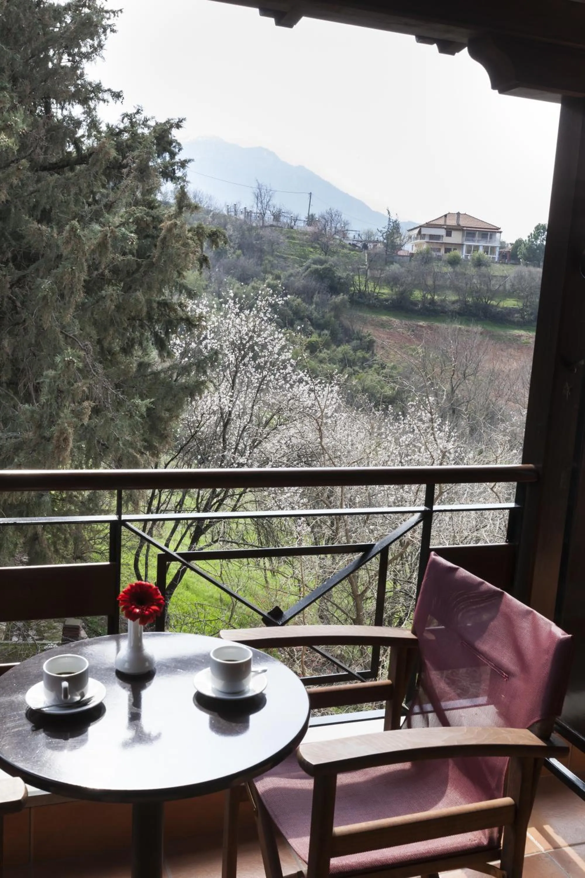 Balcony/Terrace in Dellas Boutique Hotel