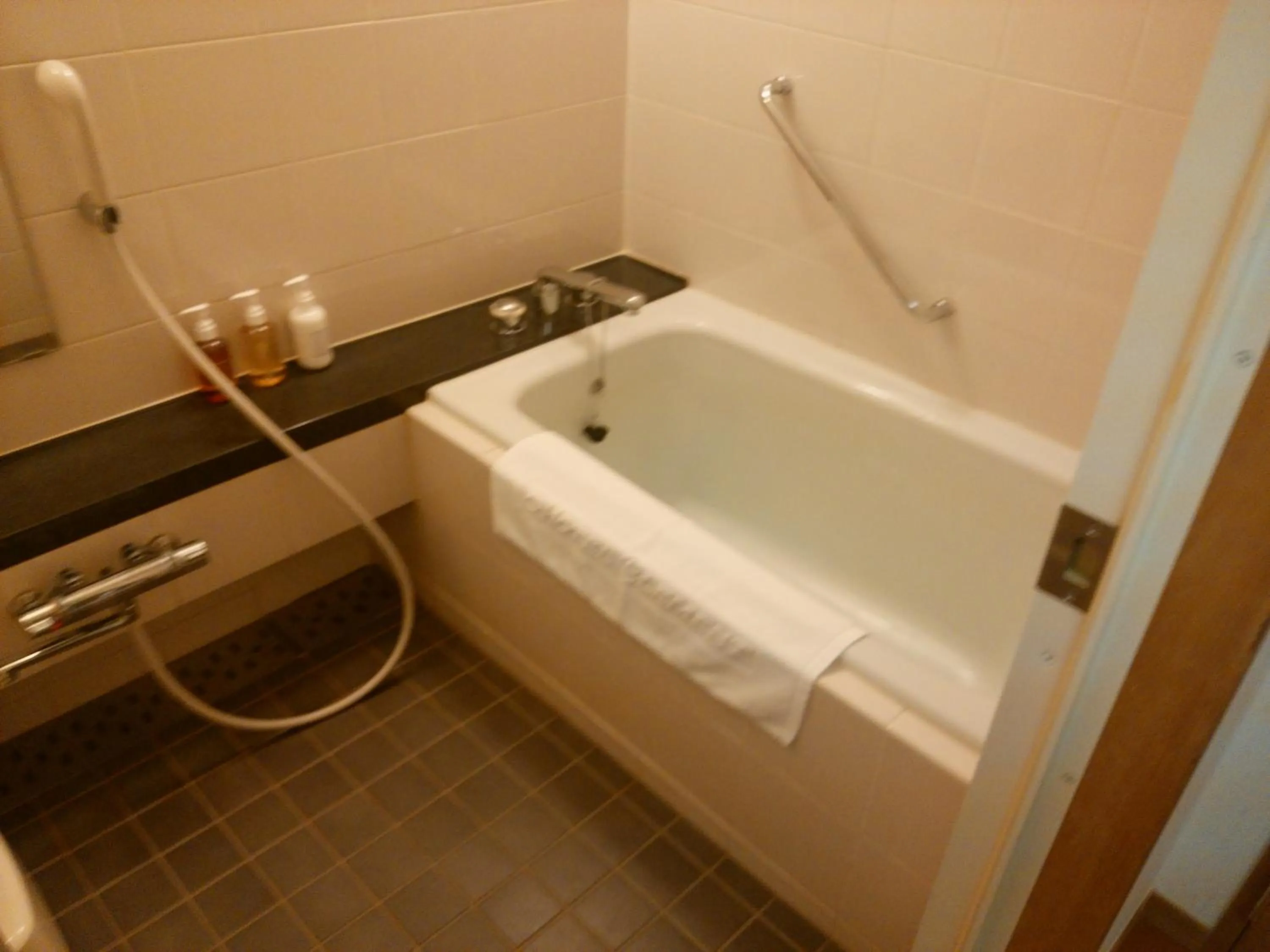 Bathroom in JR Hotel Clement Tokushima