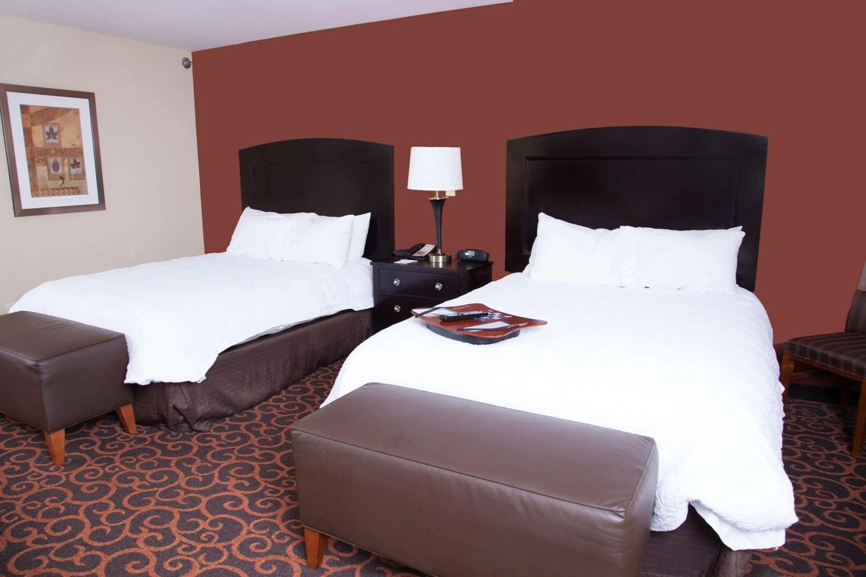 Bathroom, Bed in Hampton Inn & Suites Dickinson ND