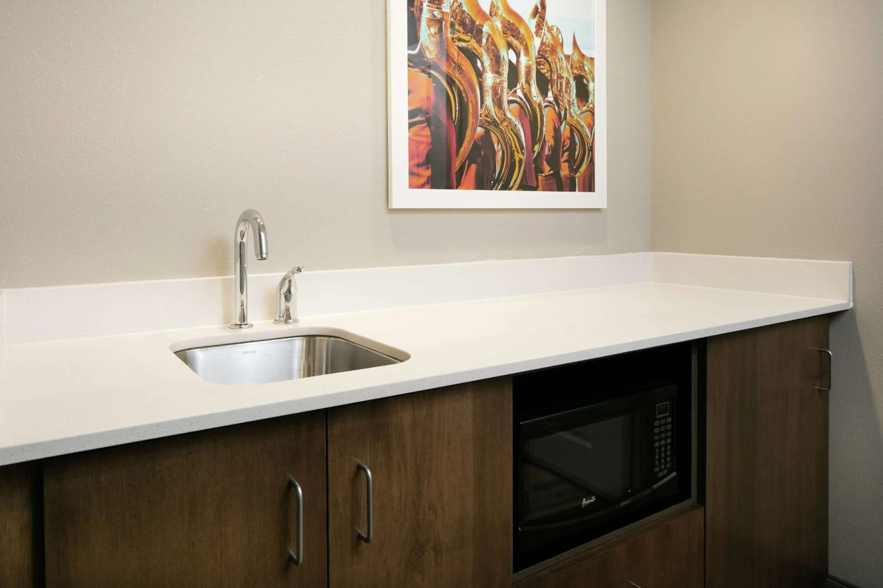 Kitchen or kitchenette in Hampton Inn & Suites Minooka