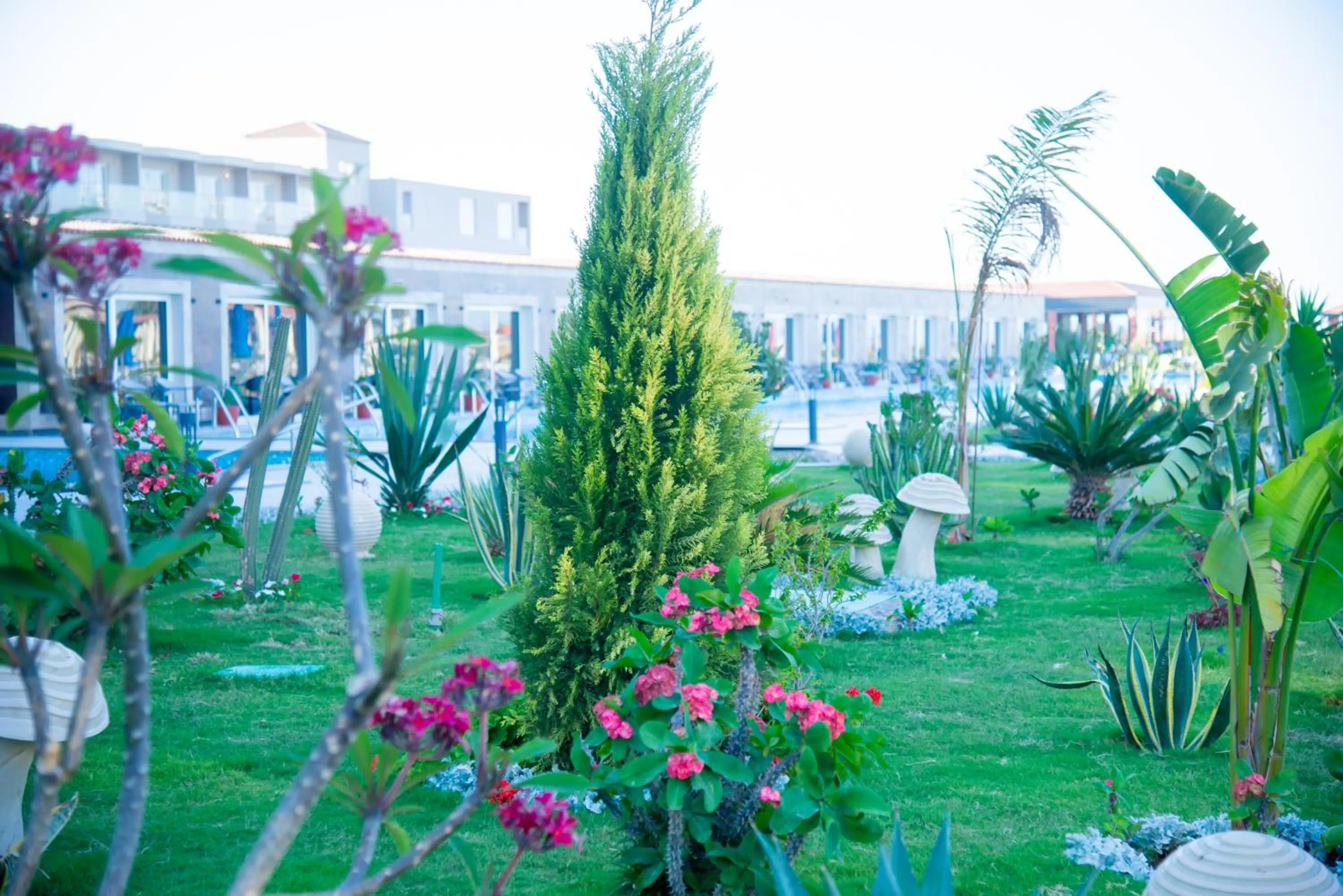 Garden view in Rewaya Majestic Resort