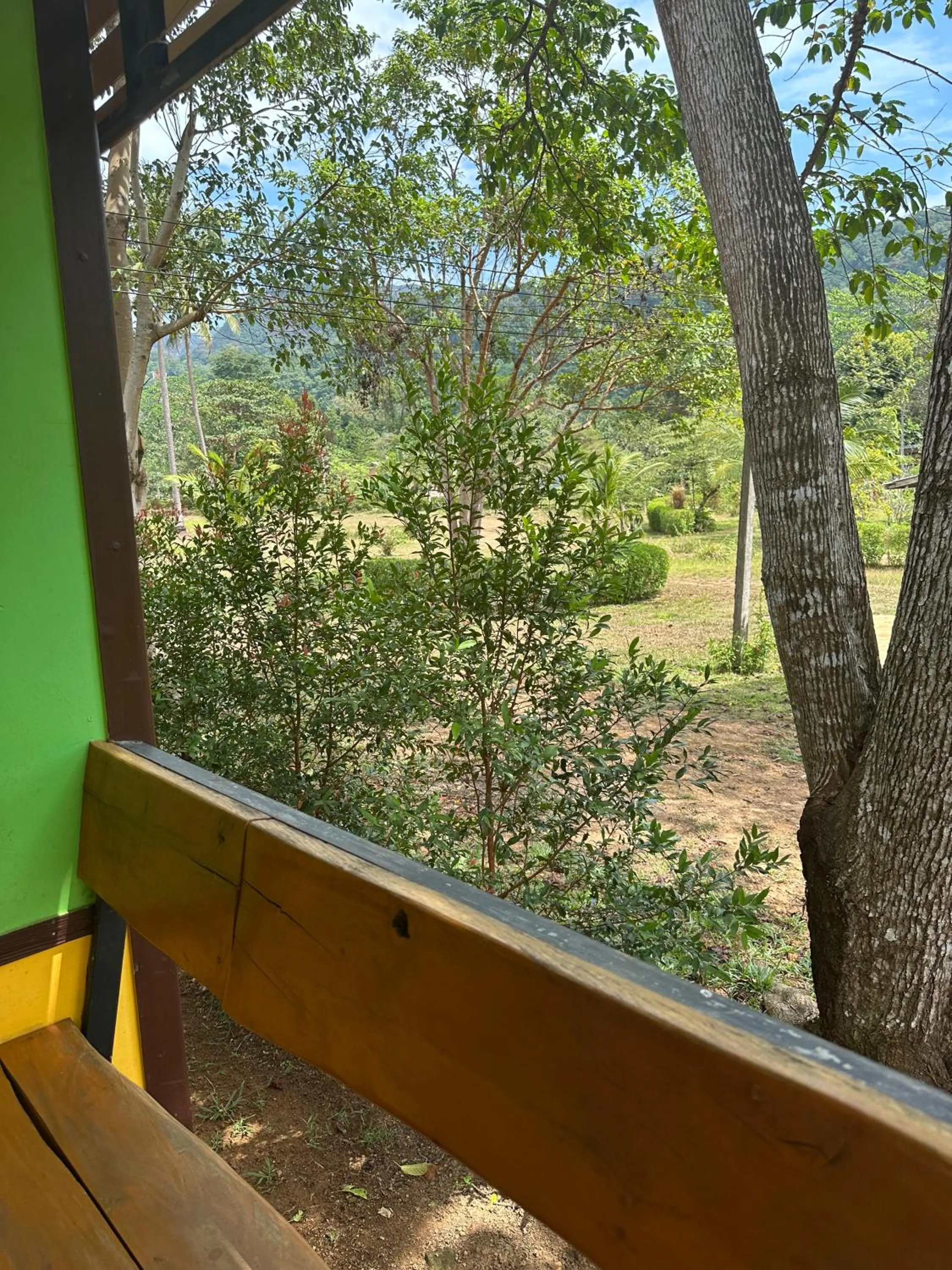 Garden view in Fine Times Resort