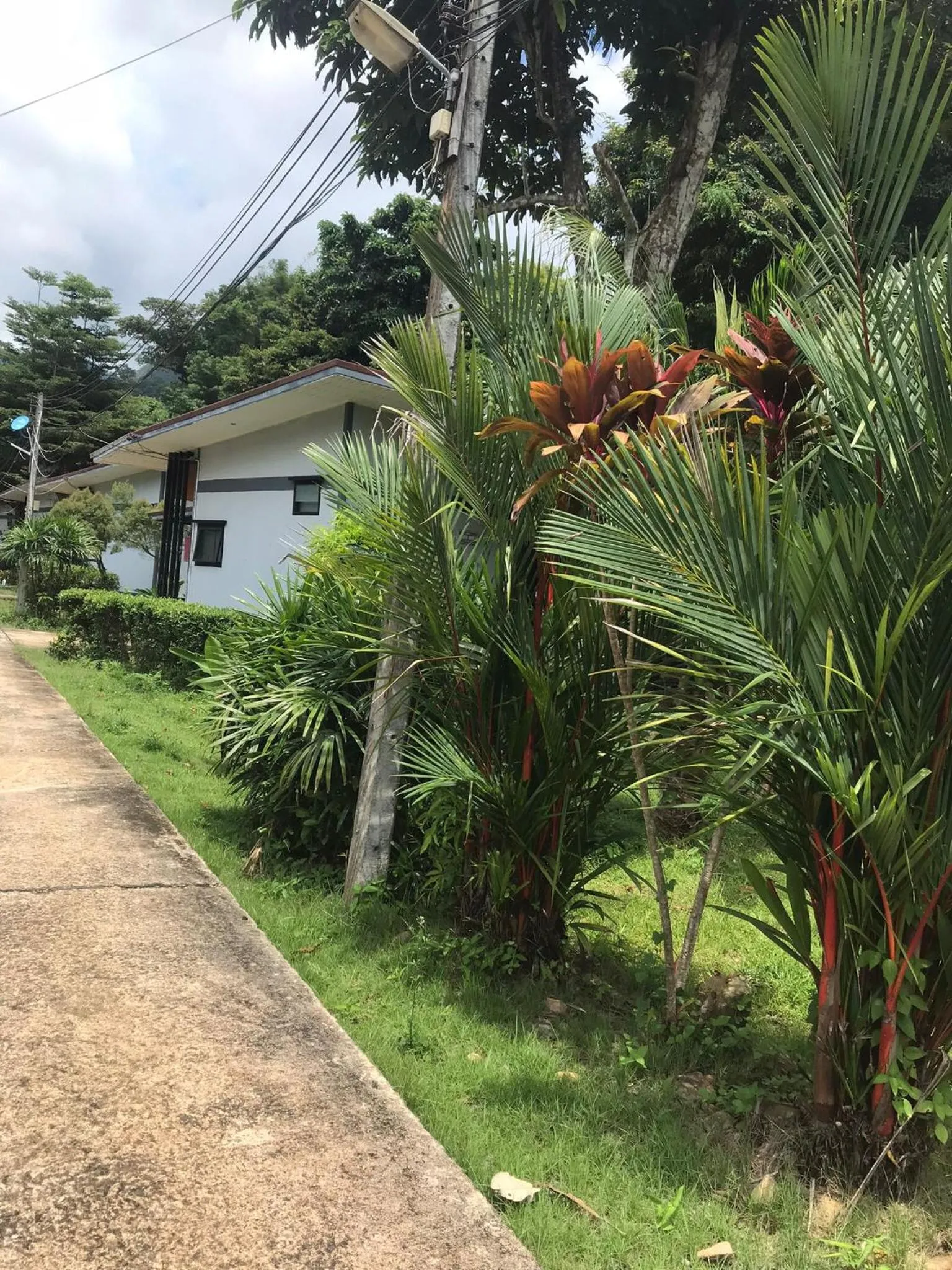 Property building in Fine Times Resort