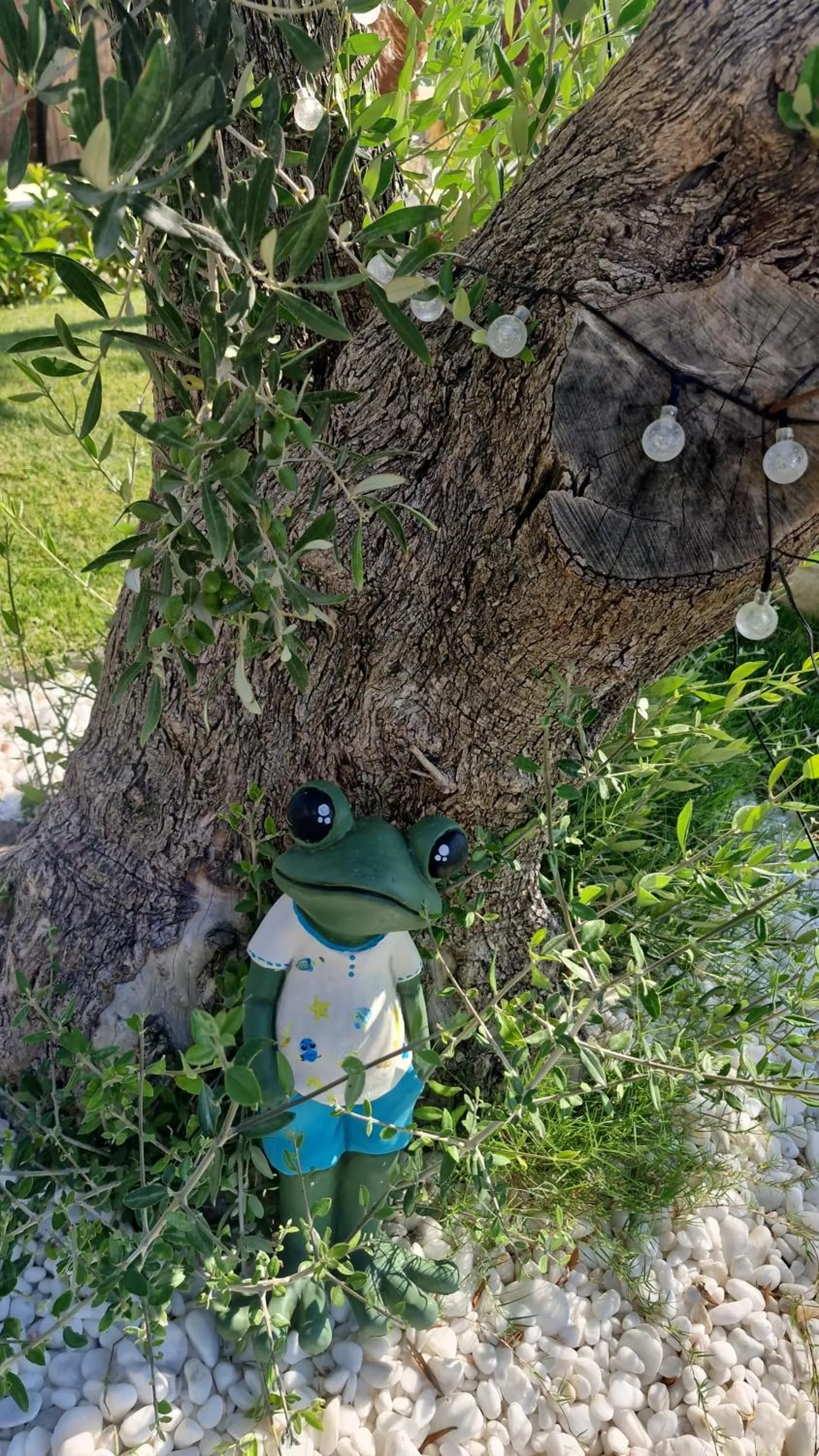 Garden in Velder House Urla