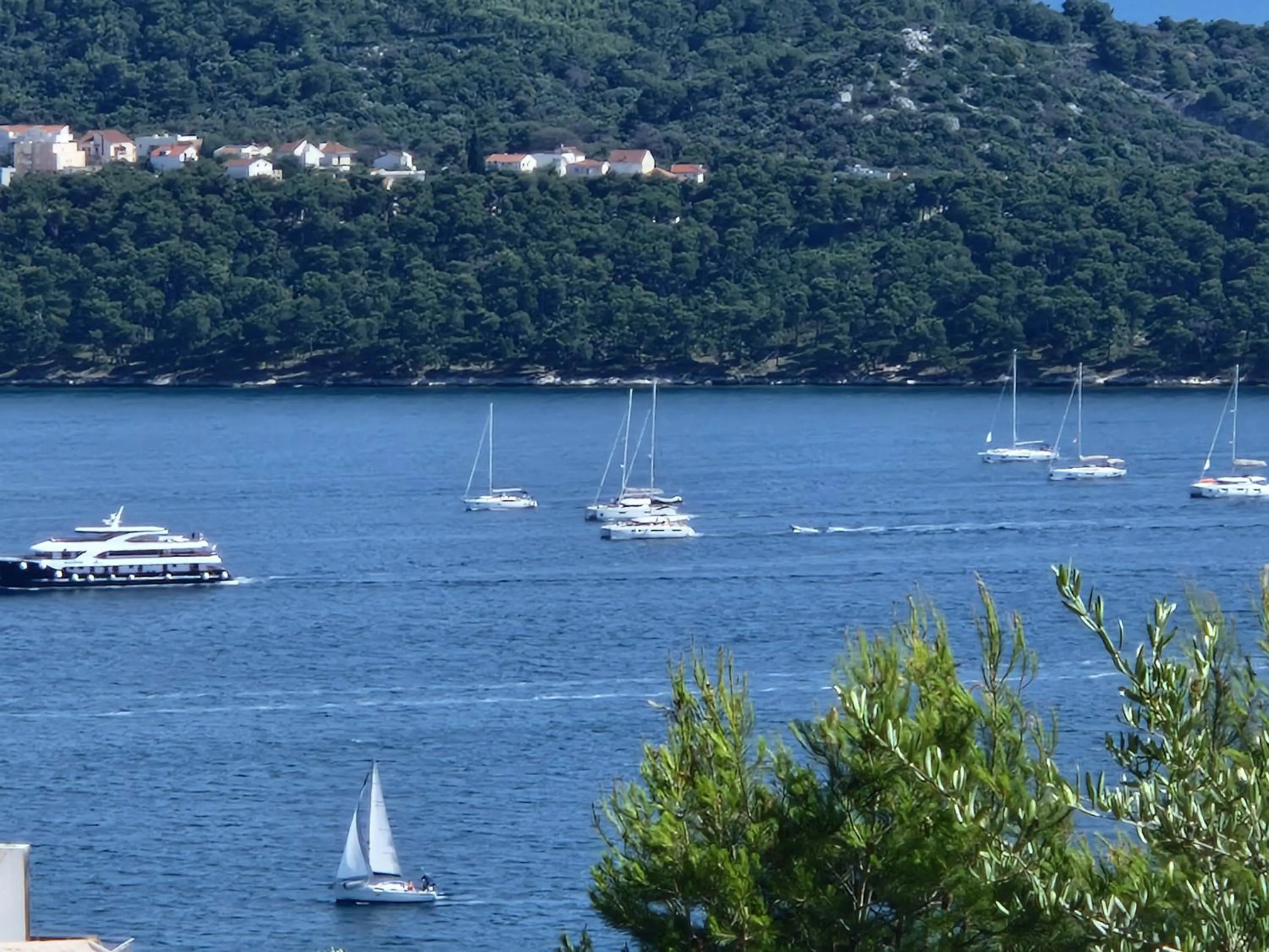 View (from property/room) in Apartment Elza