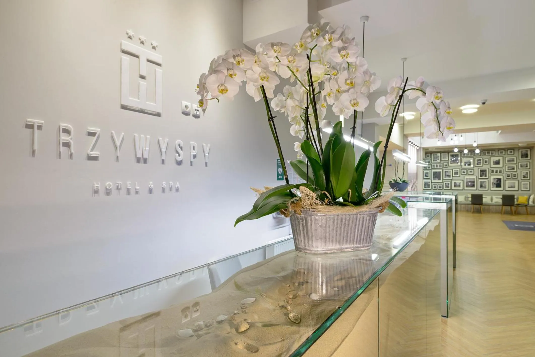 Lobby or reception in Hotel & Spa Trzy Wyspy
