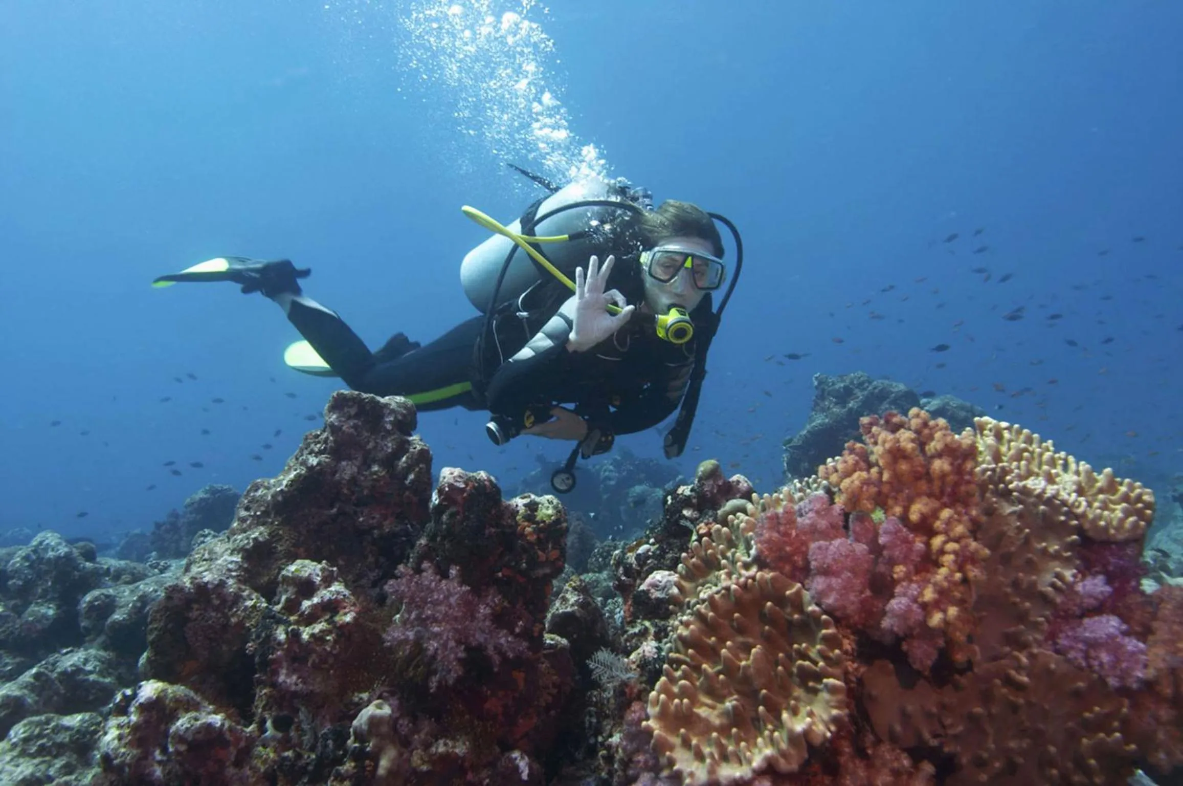 Snorkeling in Lily Palm Resort