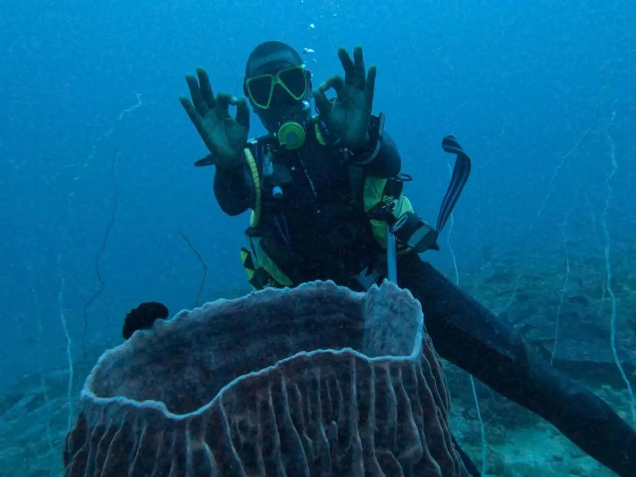 Diving in Lily Palm Resort