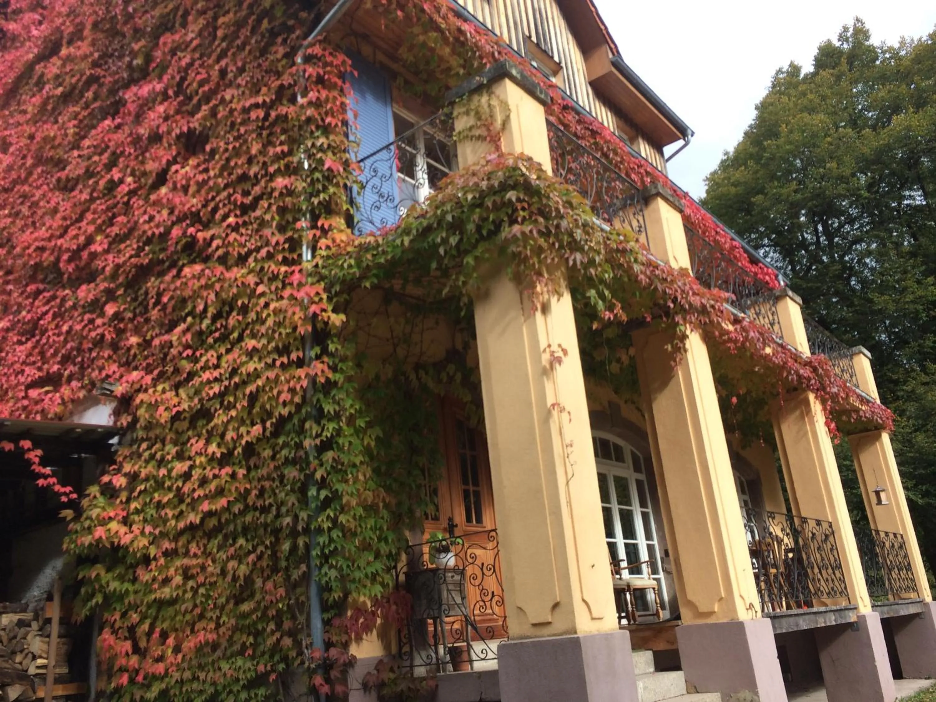 Facade/entrance in Villa Louisental - Gruppenunterkunft für Selbstversorger