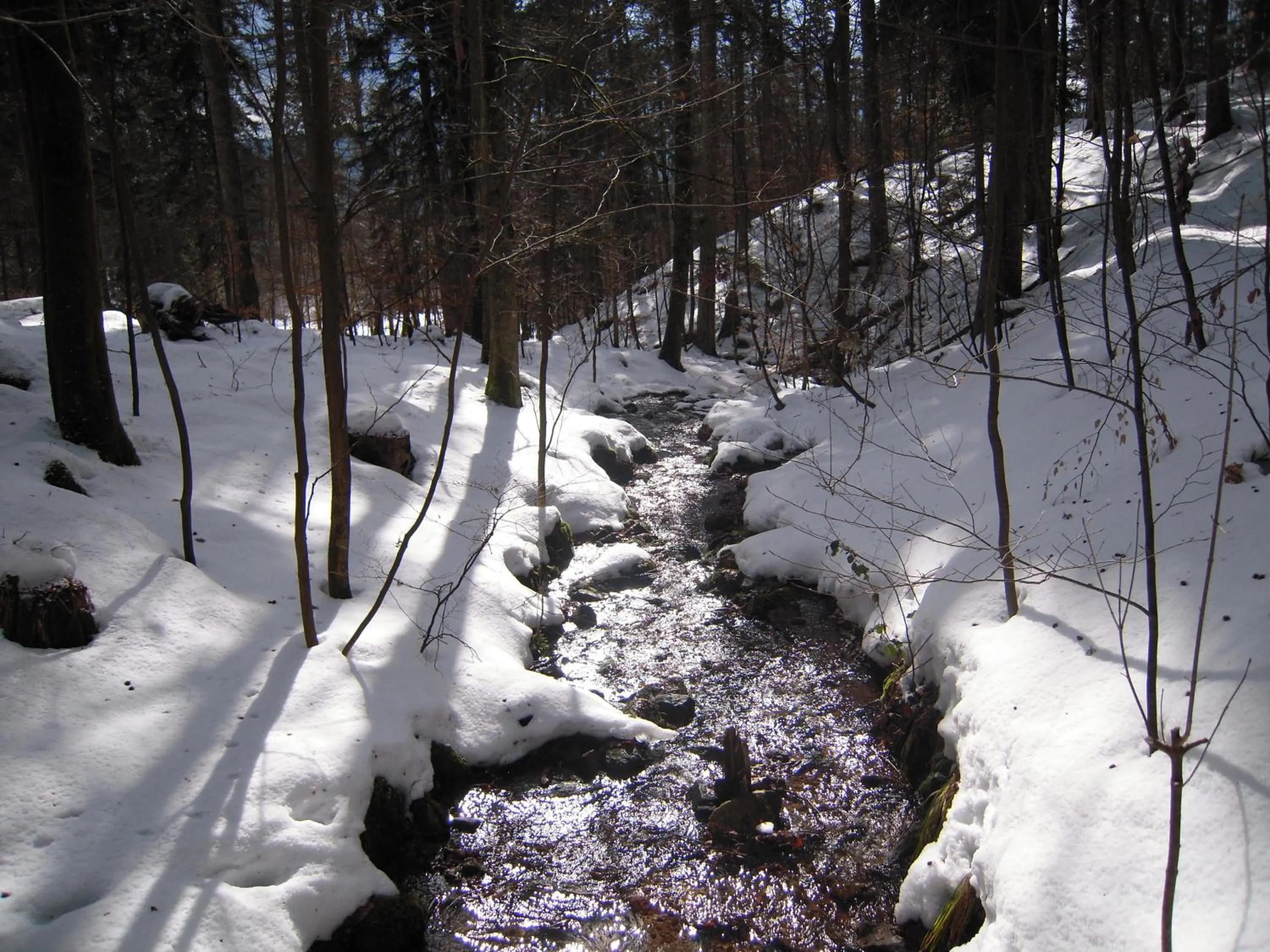 Winter in Villa Louisental - Gruppenunterkunft für Selbstversorger