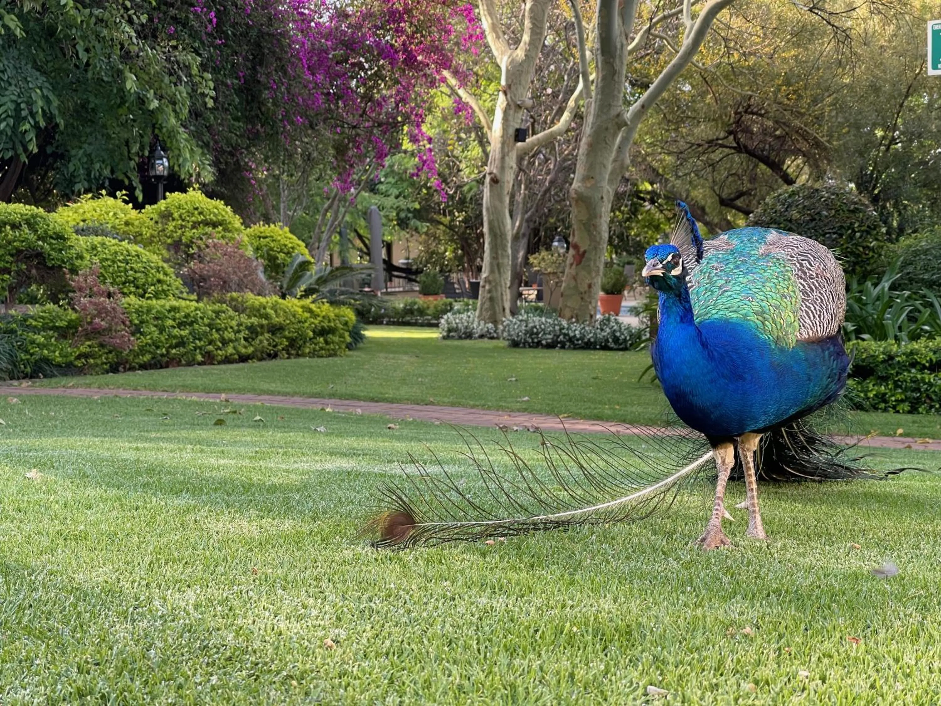 Spring in Black Eagle Hotel & Spa