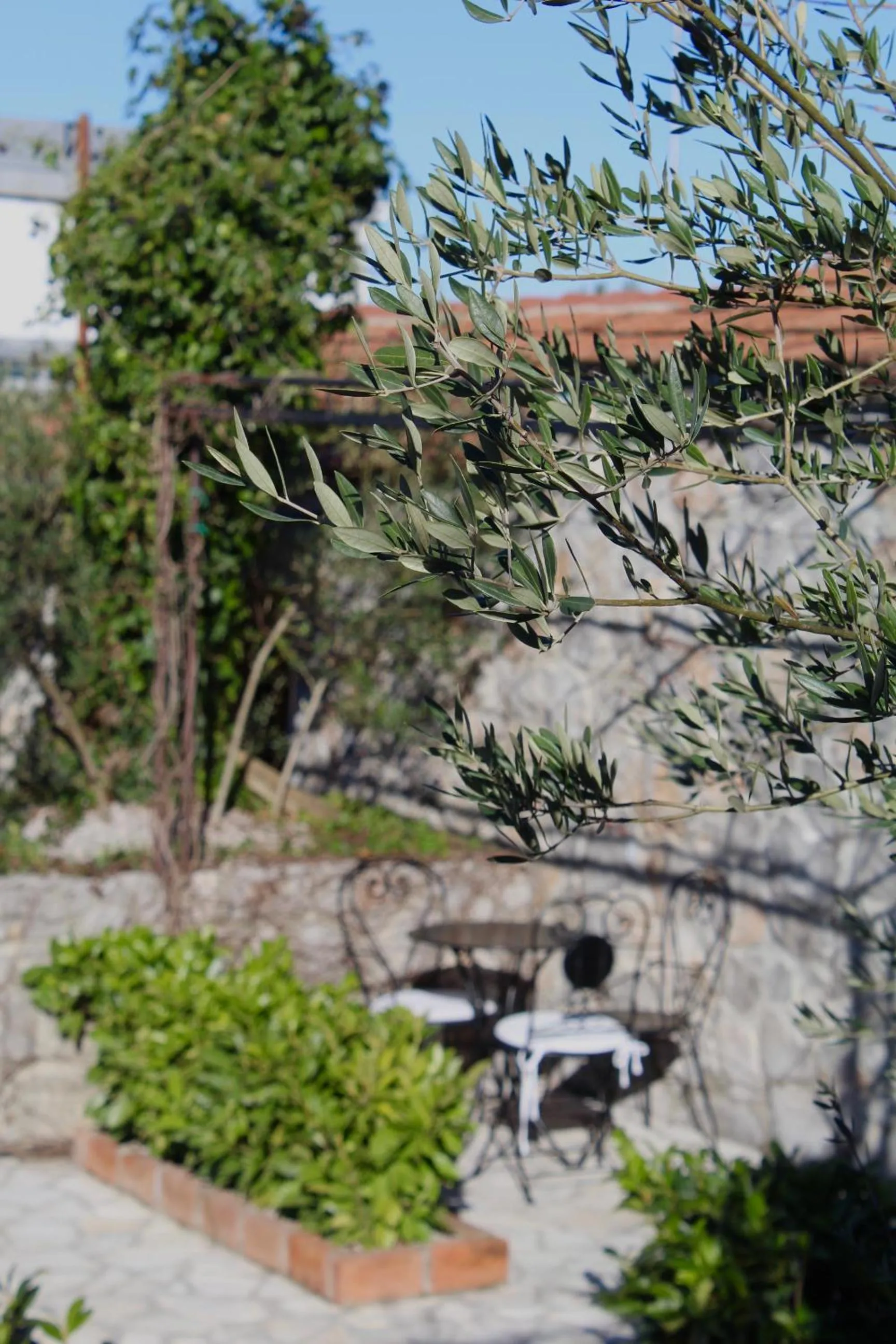 Swimming pool in Hotel Opera Jaz