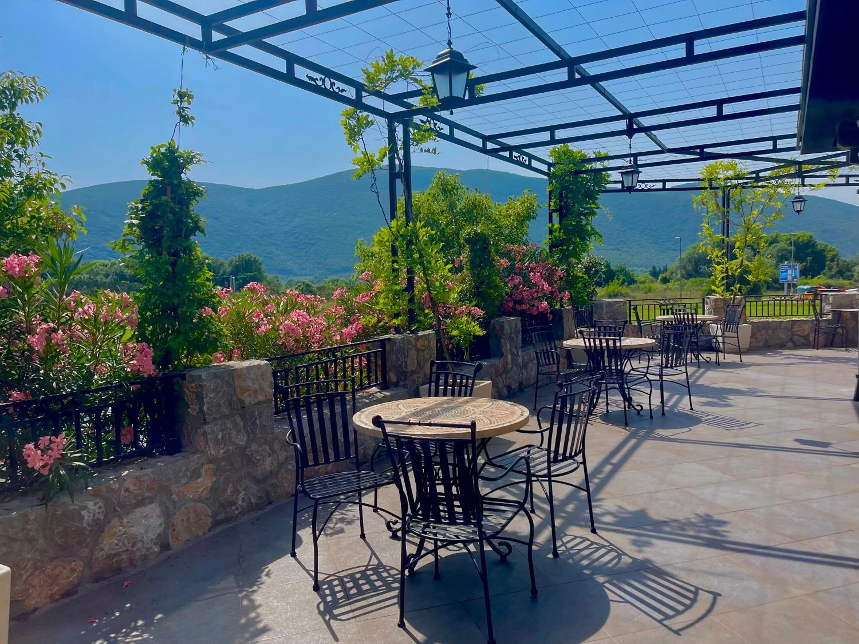 Garden in Hotel Opera Jaz