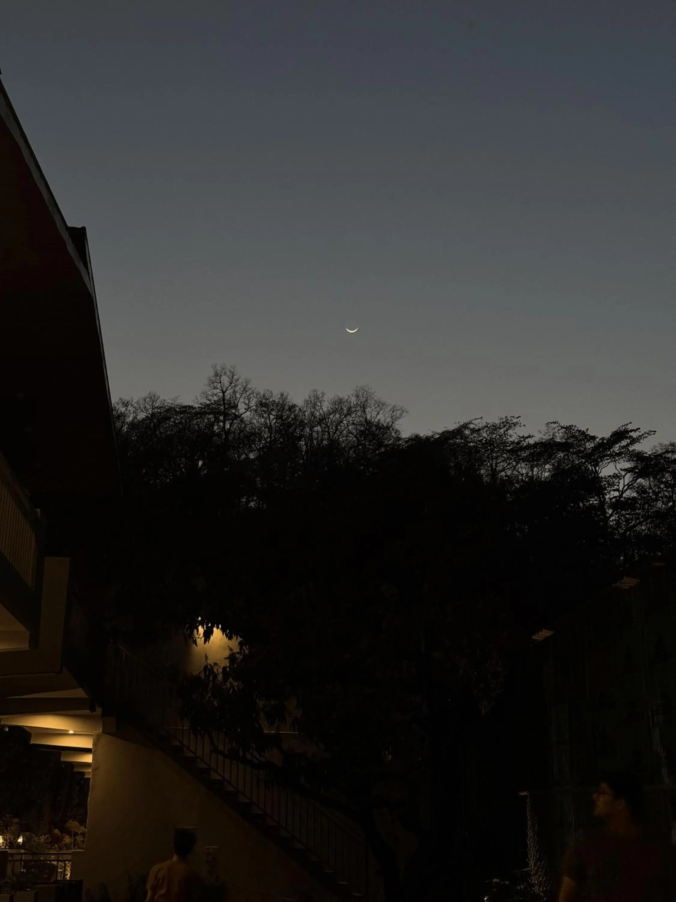 View (from property/room) in Ravihans Aranyam - Resort & Restaurant