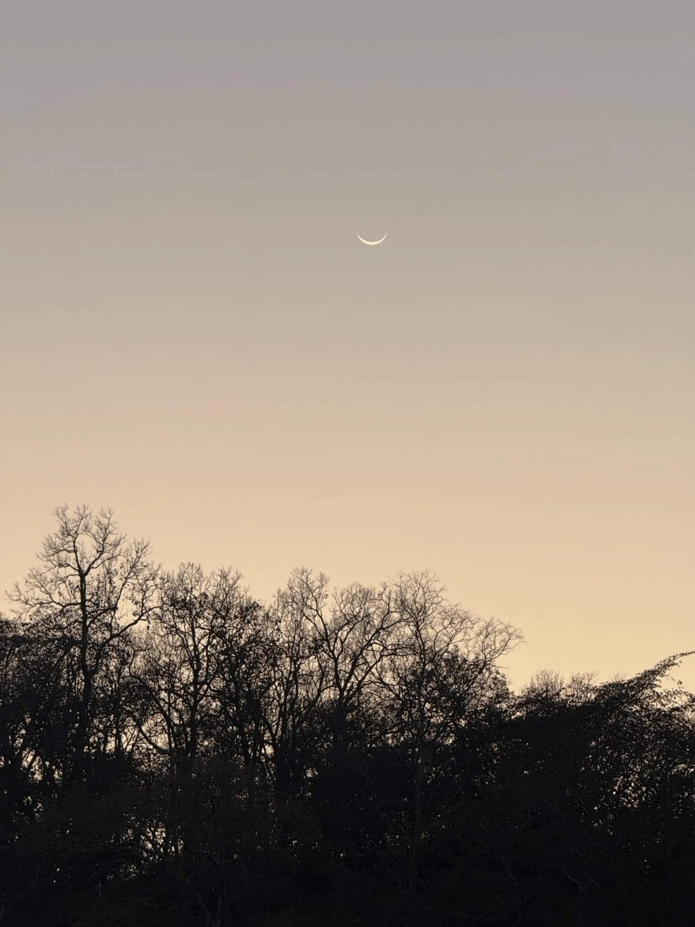 View (from property/room) in Ravihans Aranyam - Resort & Restaurant