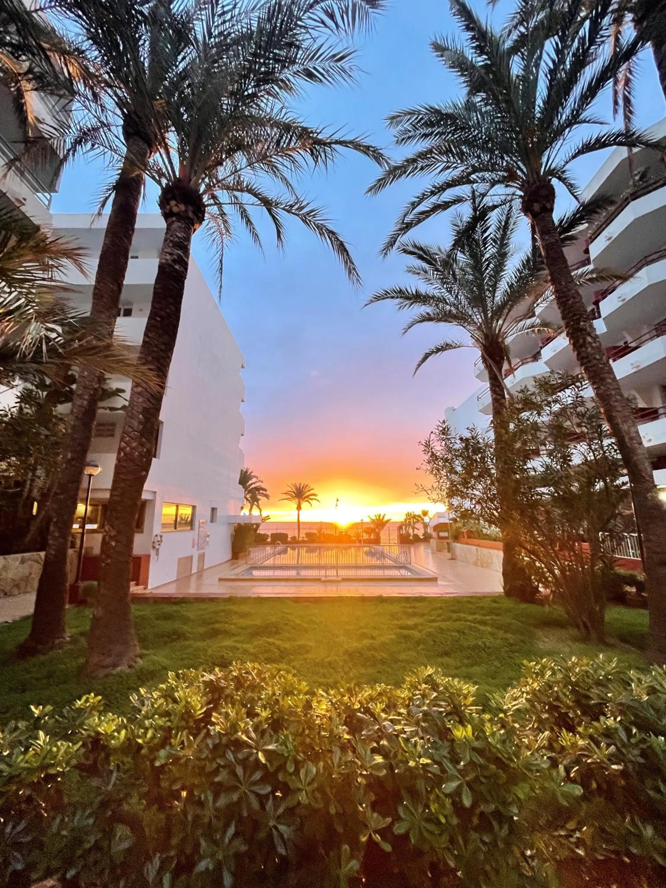 Swimming pool in Apartamentos Llobet Ibiza