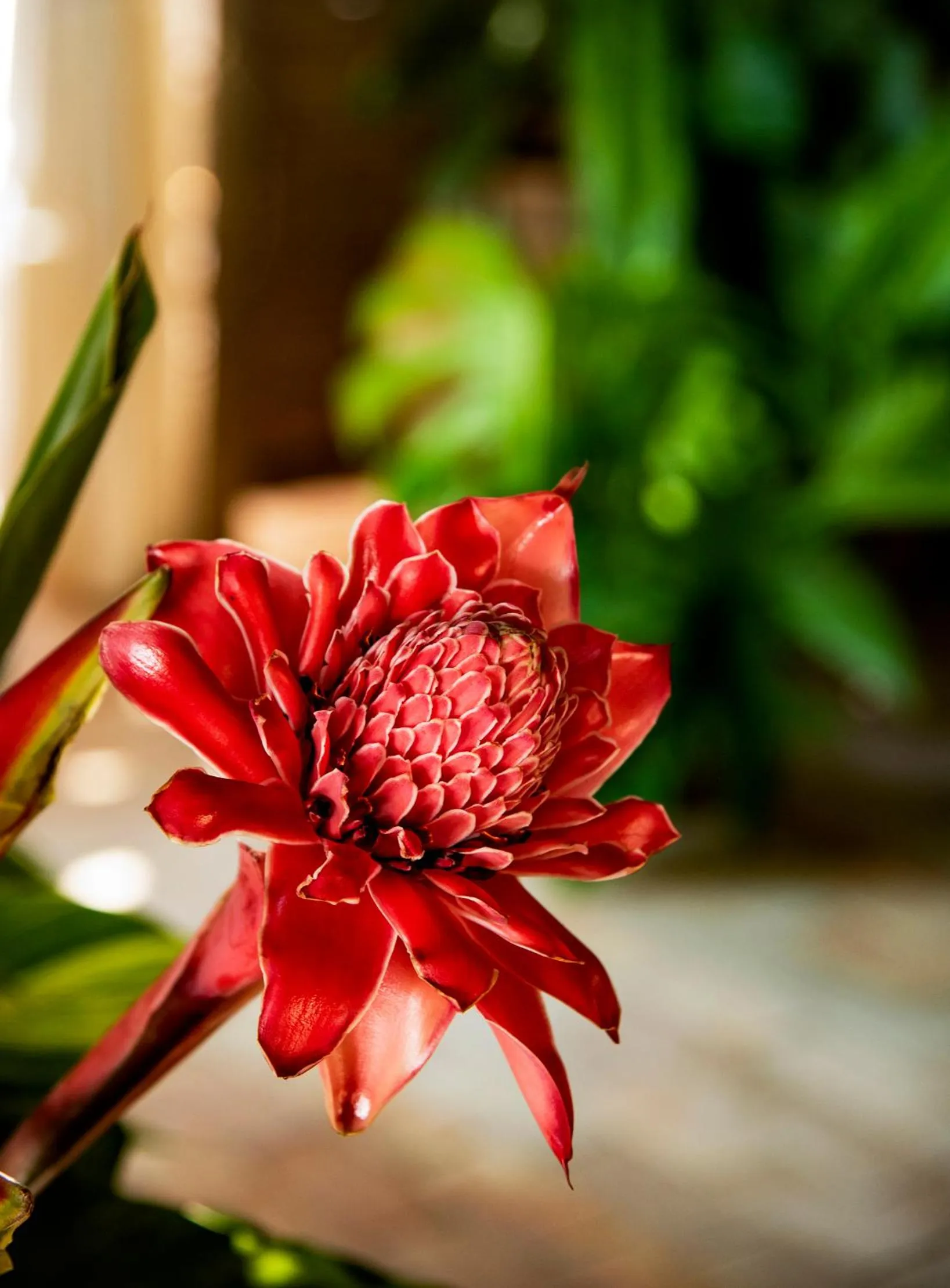 Garden in TW Guaimbê Exclusive Suítes