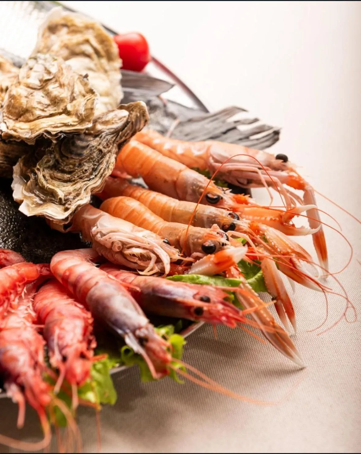 Food and drinks in Vila Lasko Hotel