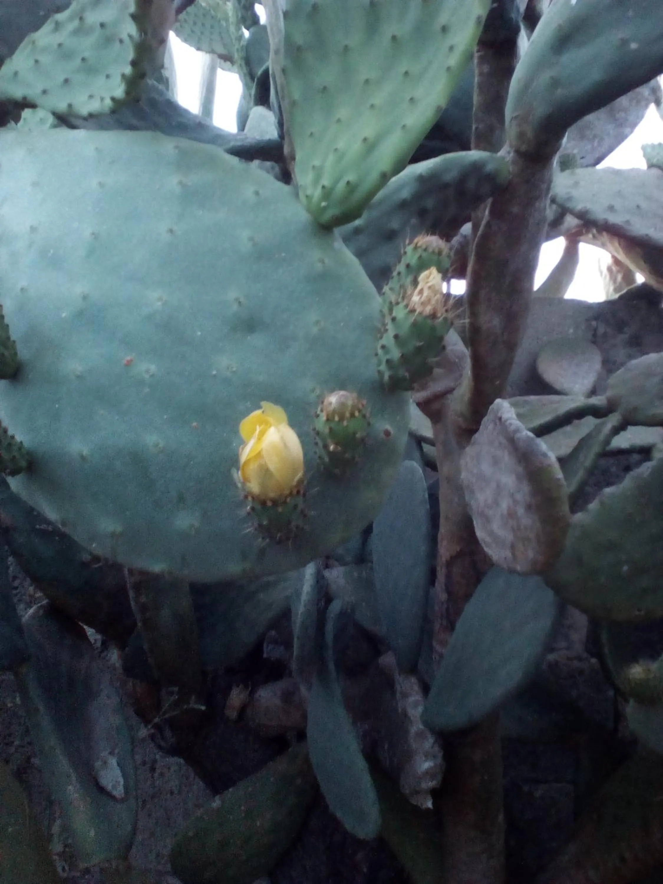 Other in B&B Alicino