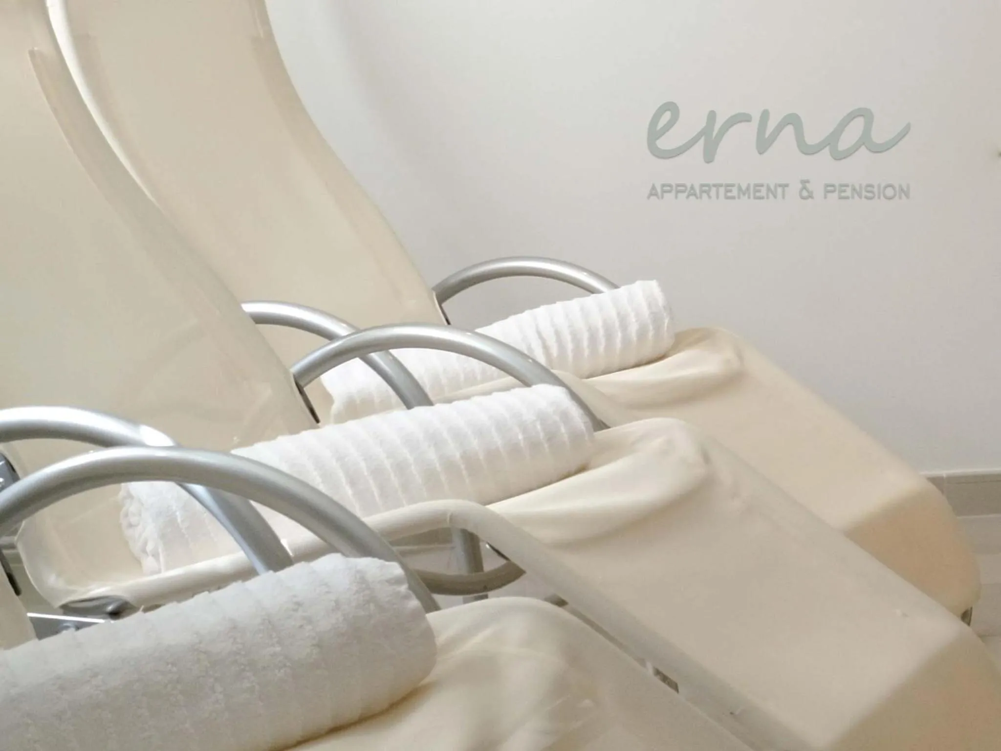 Sauna in Pension Apartment Erna