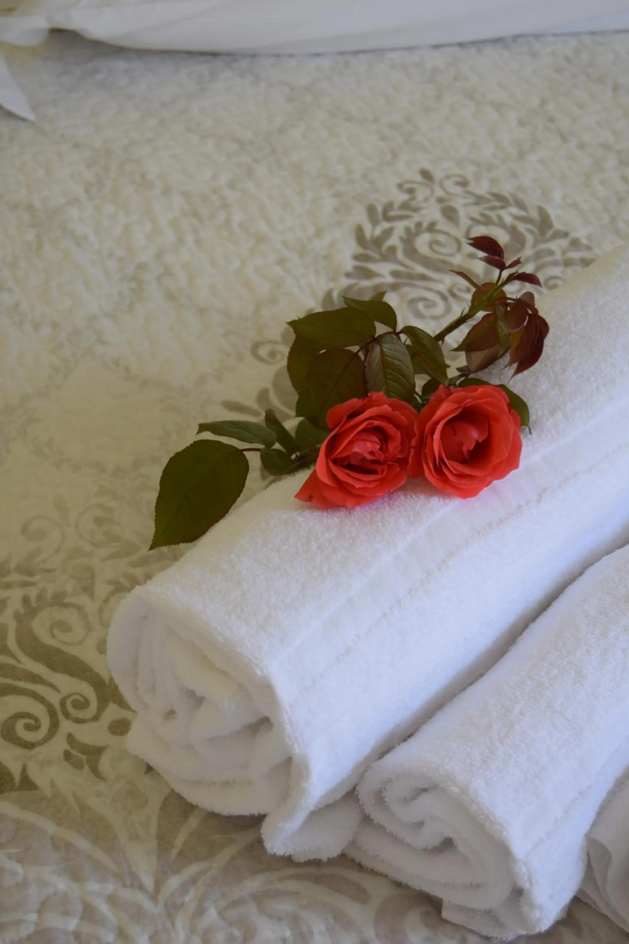 Bed in Casa Vacanza e per lavoro Tessyhouse